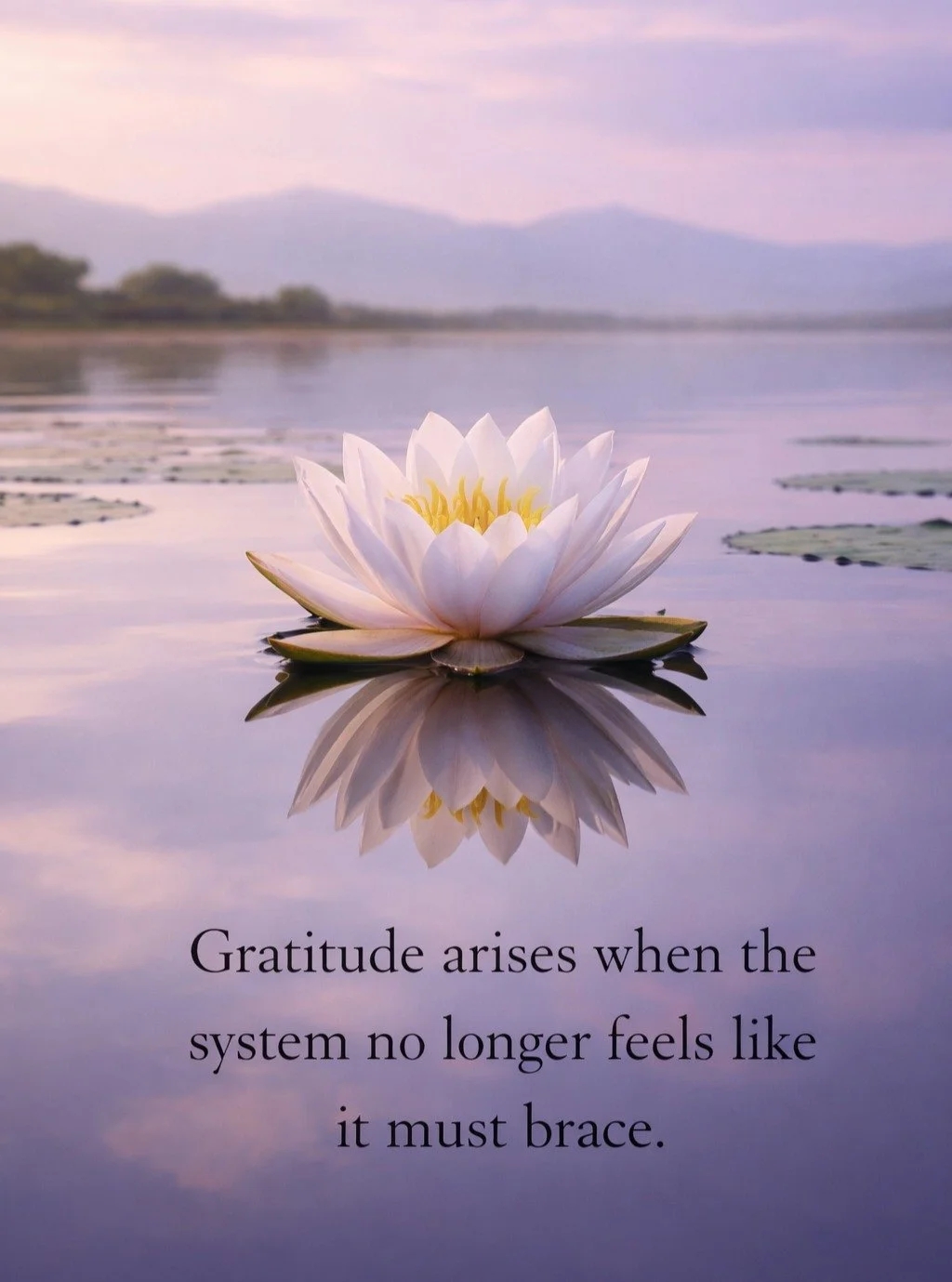 #Gratitude #KingNazahualcoyotl #Dawn #WaterLily