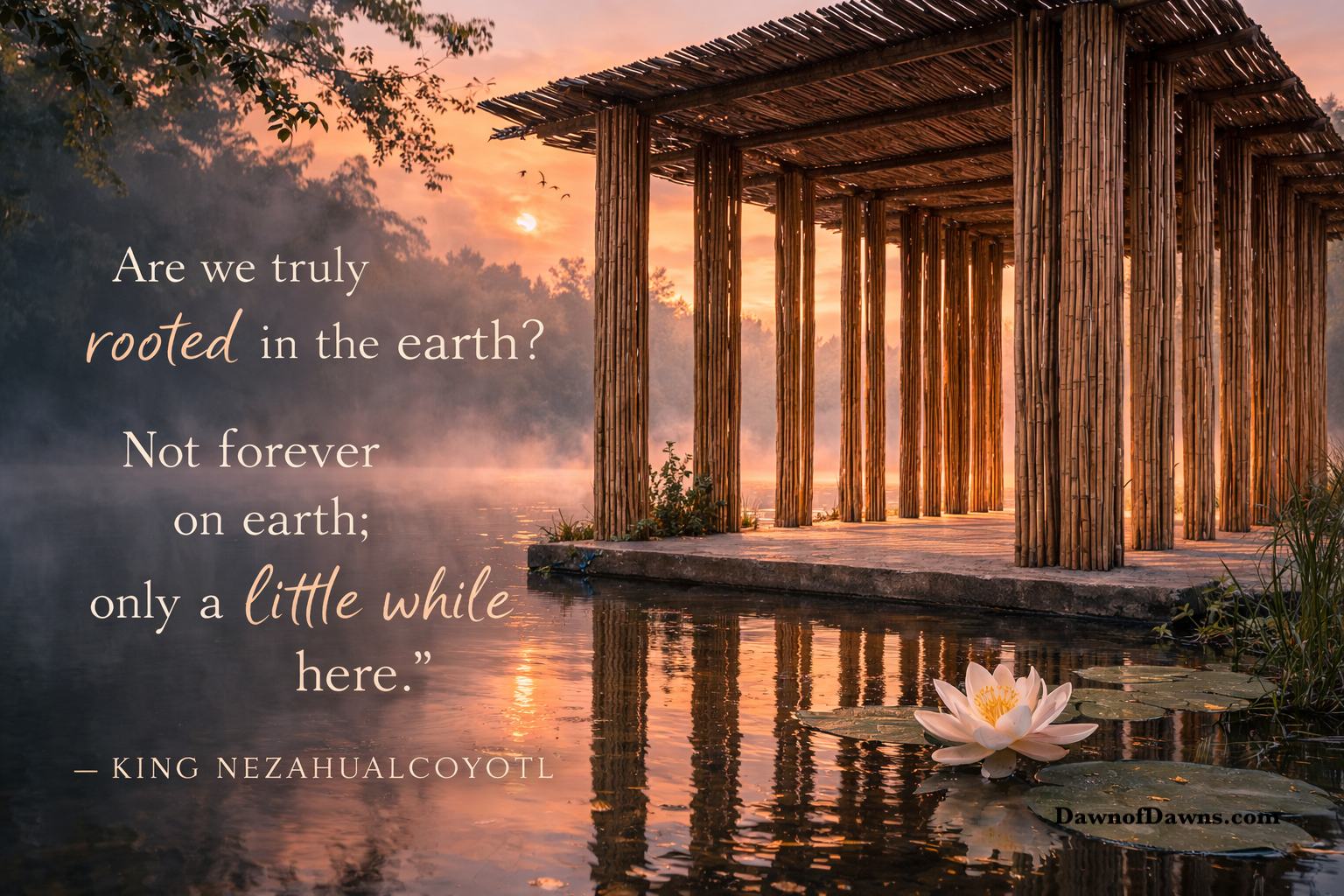 Daily Dawn Messages 🌅 