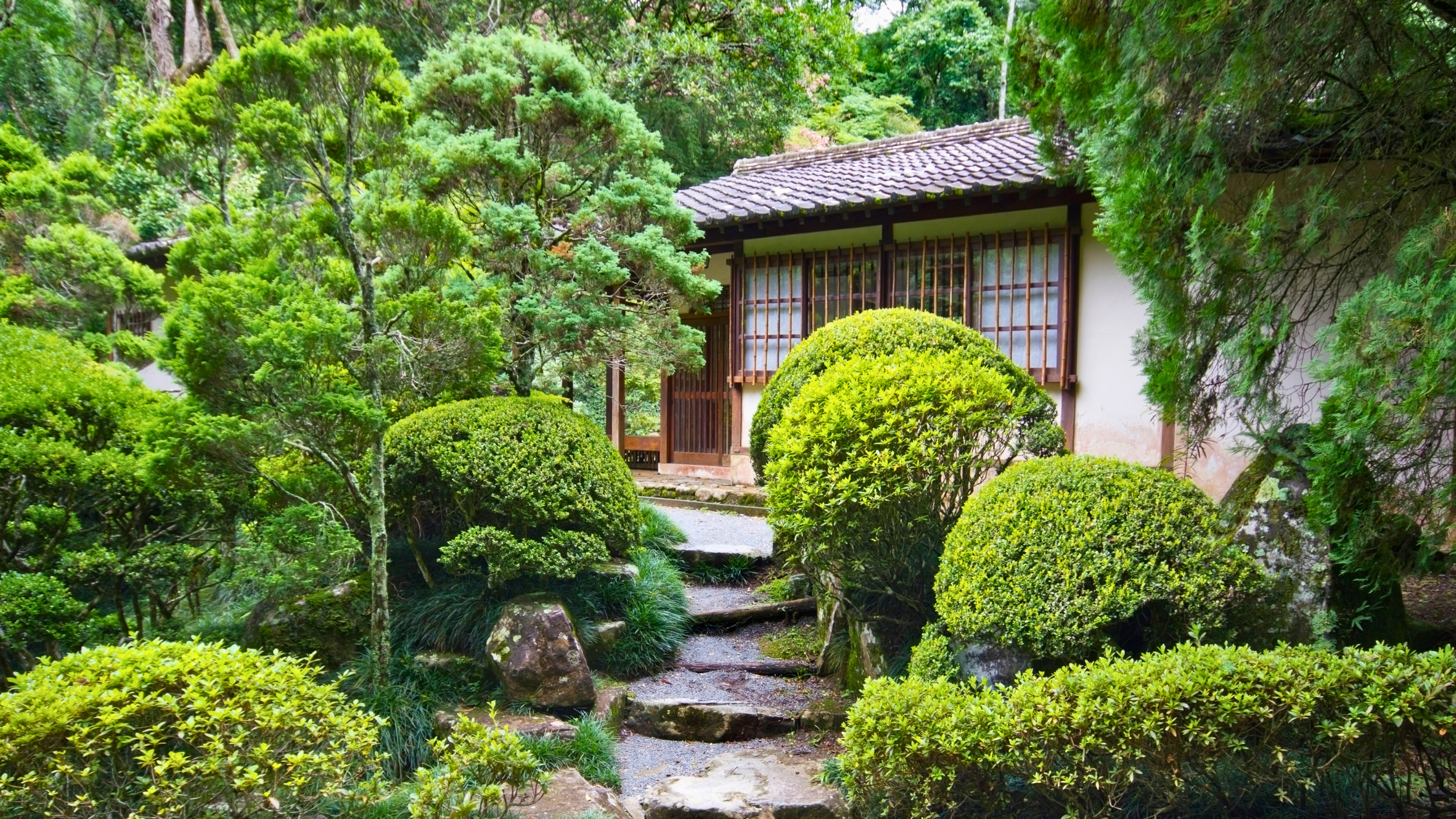 A traditional Japanese garden with lush green bushes, trees, and rocks leading to a wooden house with sliding windows, surrounded by dense foliage.