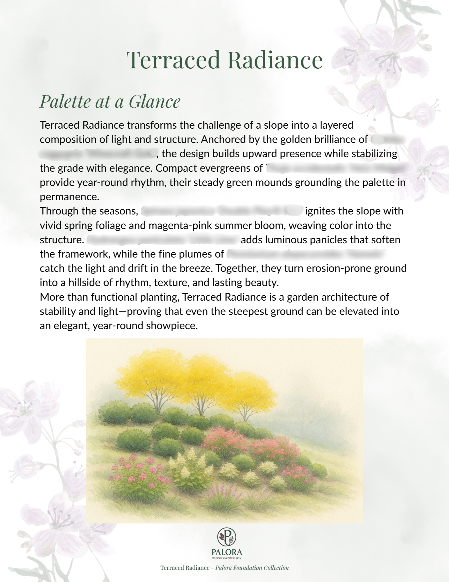 Terraced Radiance.png