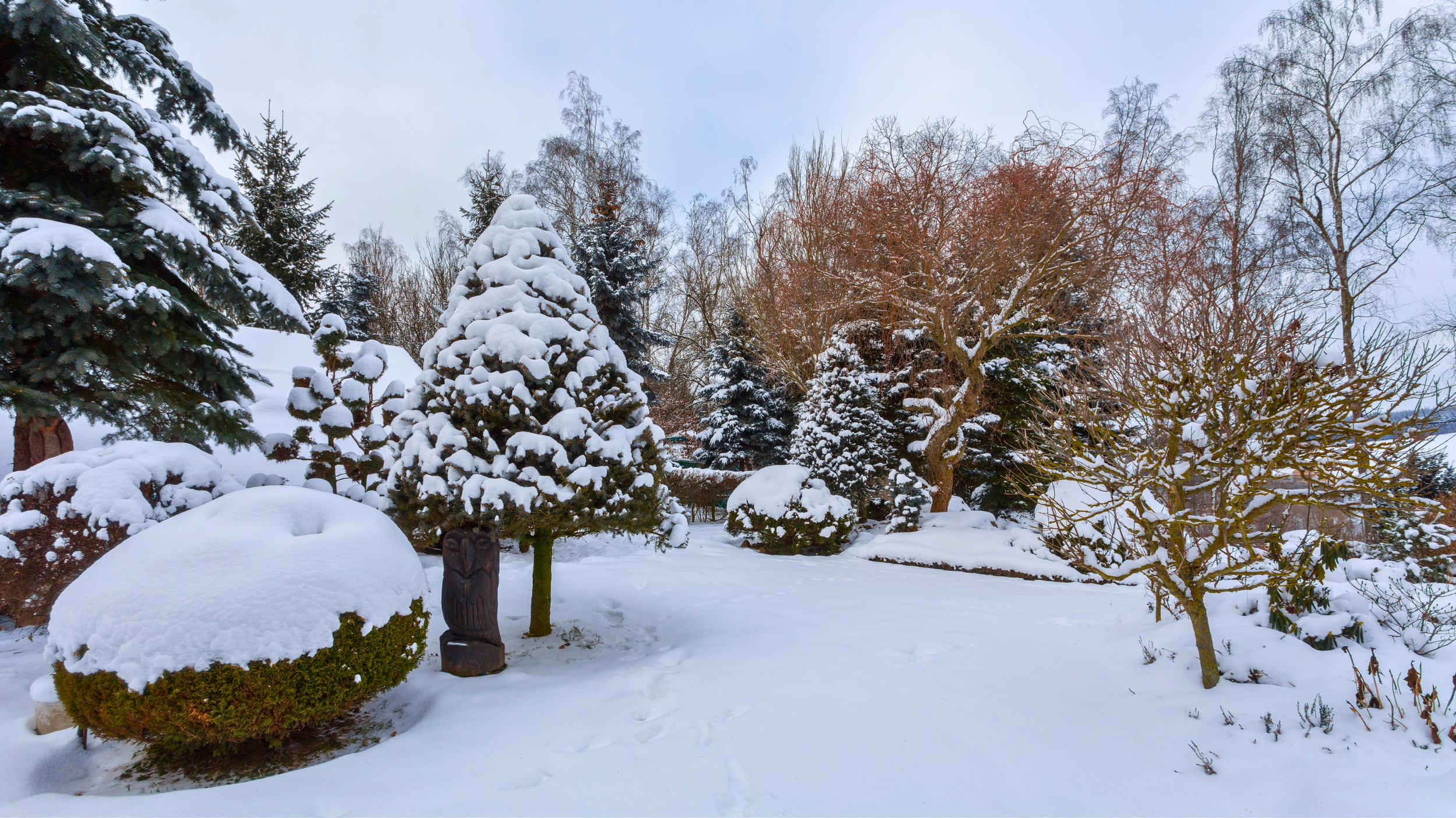 Snow-covered garden with a variety of trees, shrubs, and a wooden sculpture, under a gray sky.