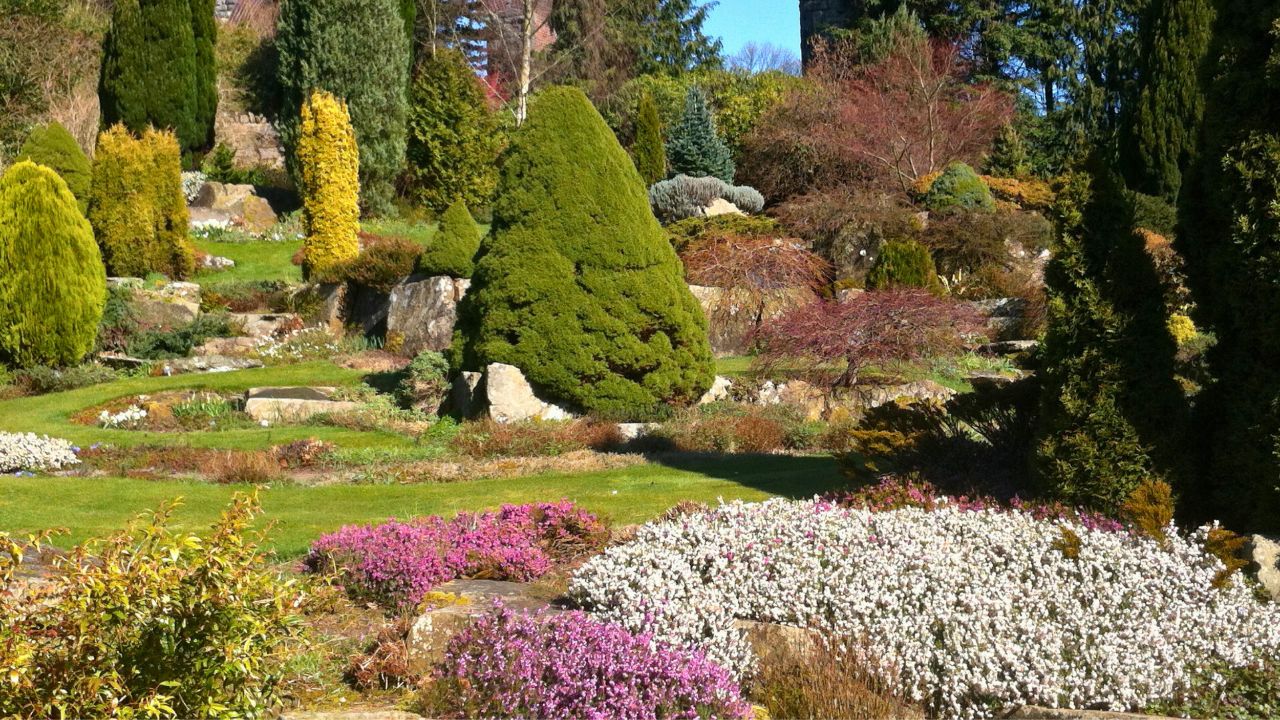 A colorful landscaped garden with various shaped and sized shrubs, trees, and flowering plants, with rocks integrated into the garden design.