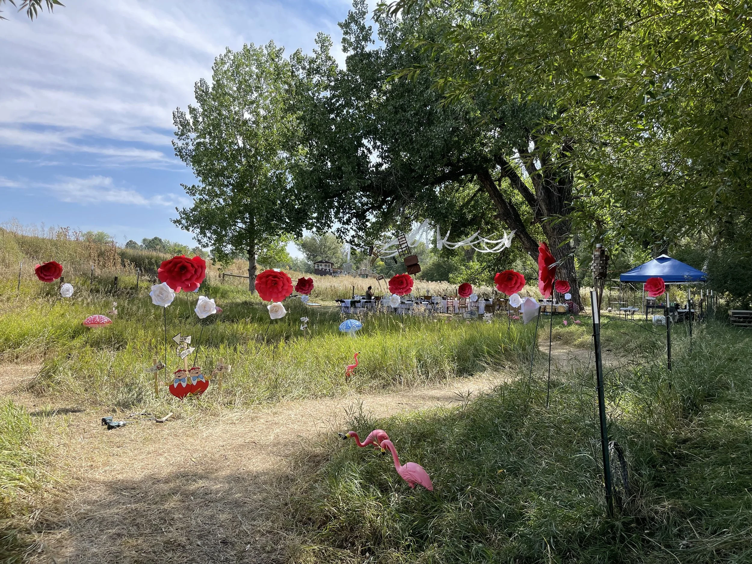 IMG_8703.jpg