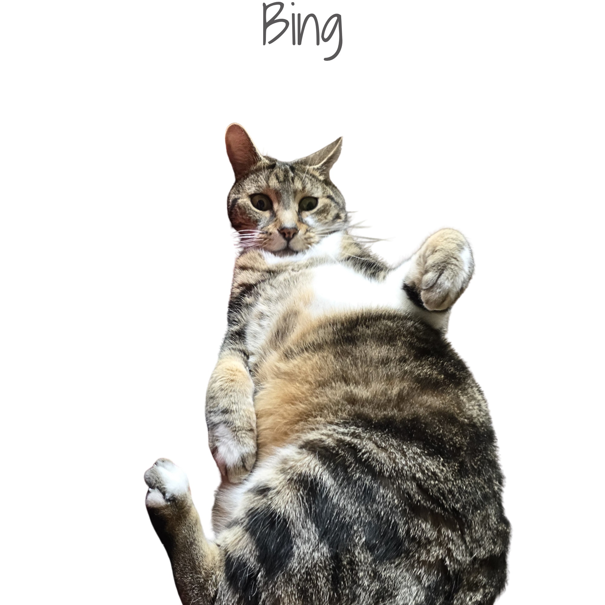 1000291936.png