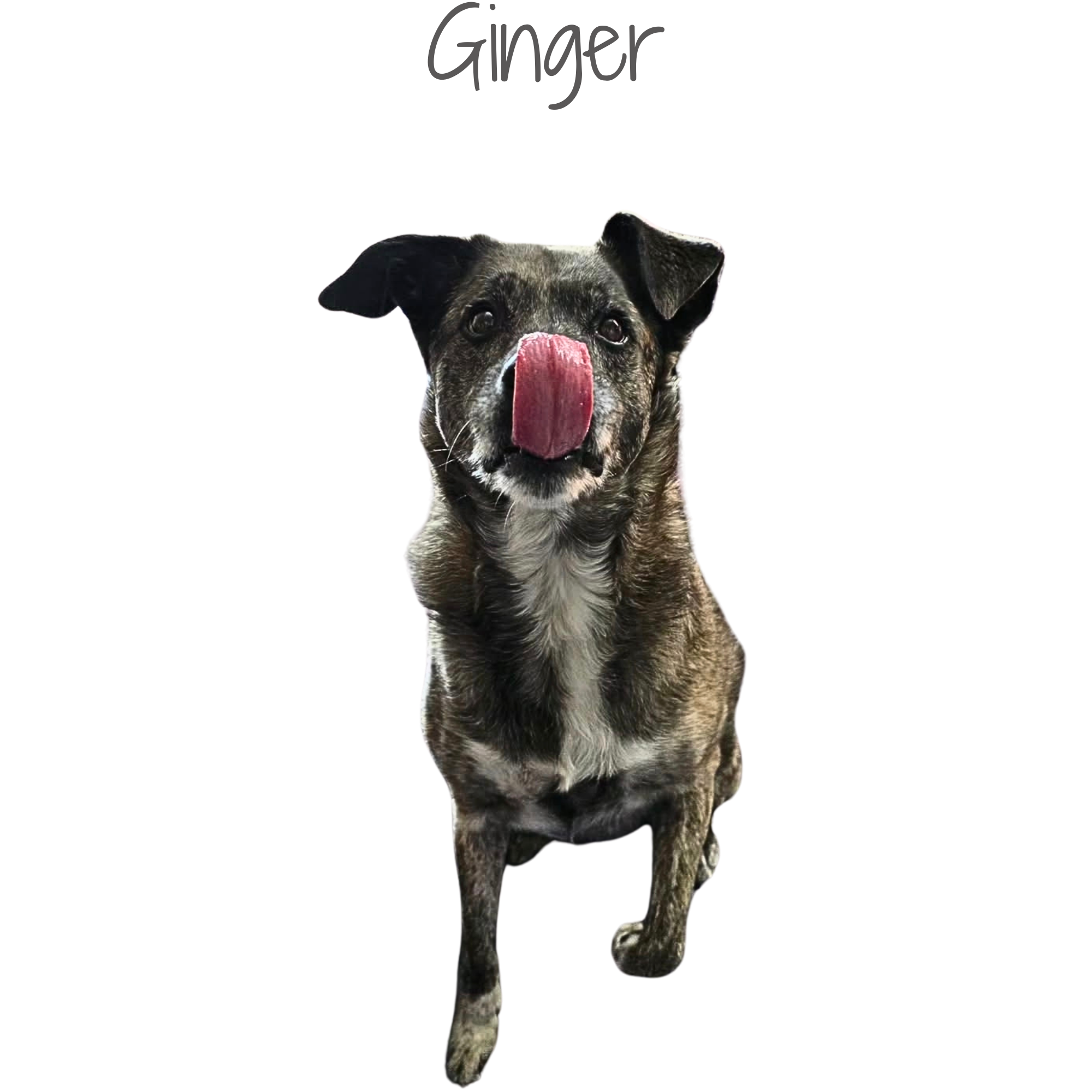 1000161065.png