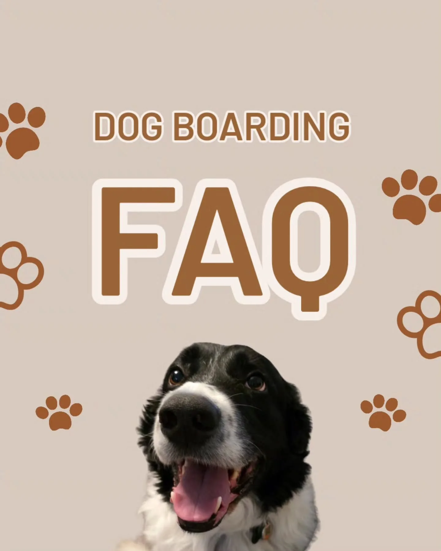 πΆπ‘Dog Boarding: Here are some common questions I get asked! Let me know if there's anything else you're curious about, feel free to DM me and I'Il be happy to answer! π©·π₯°