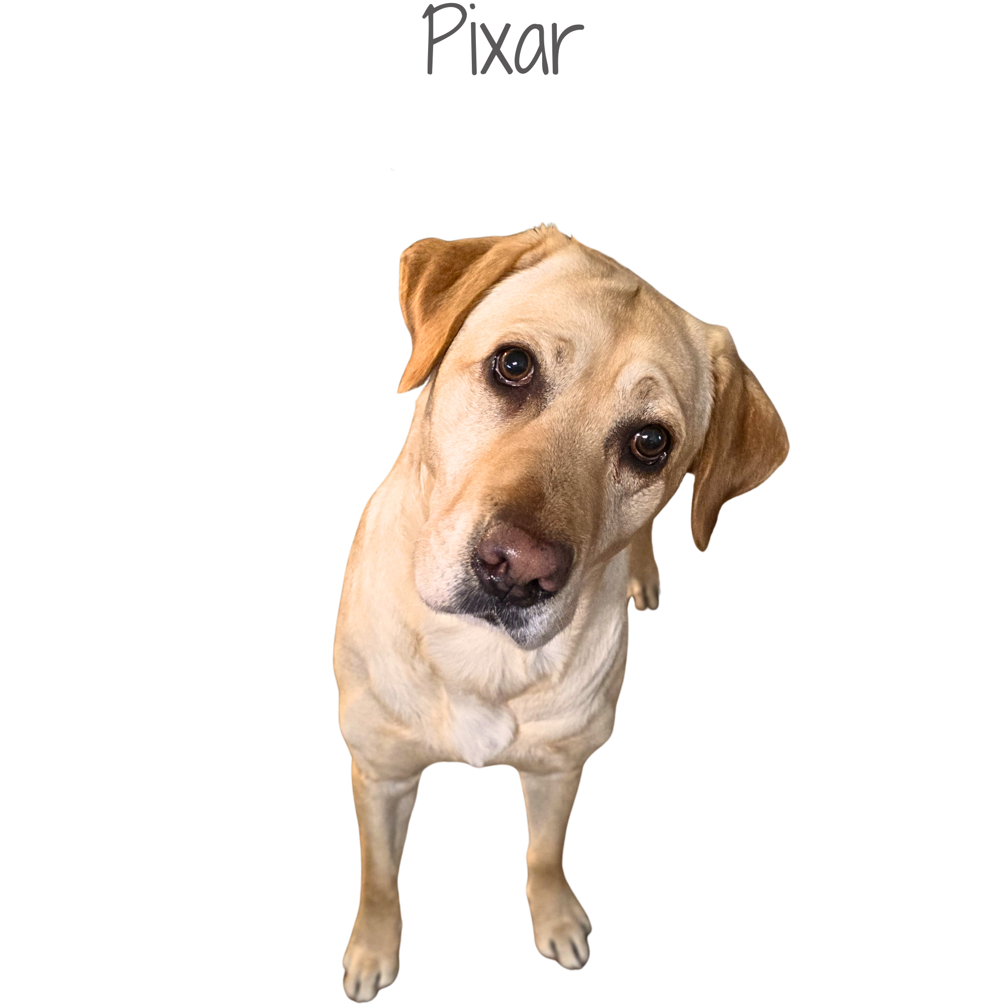 1000205264.png