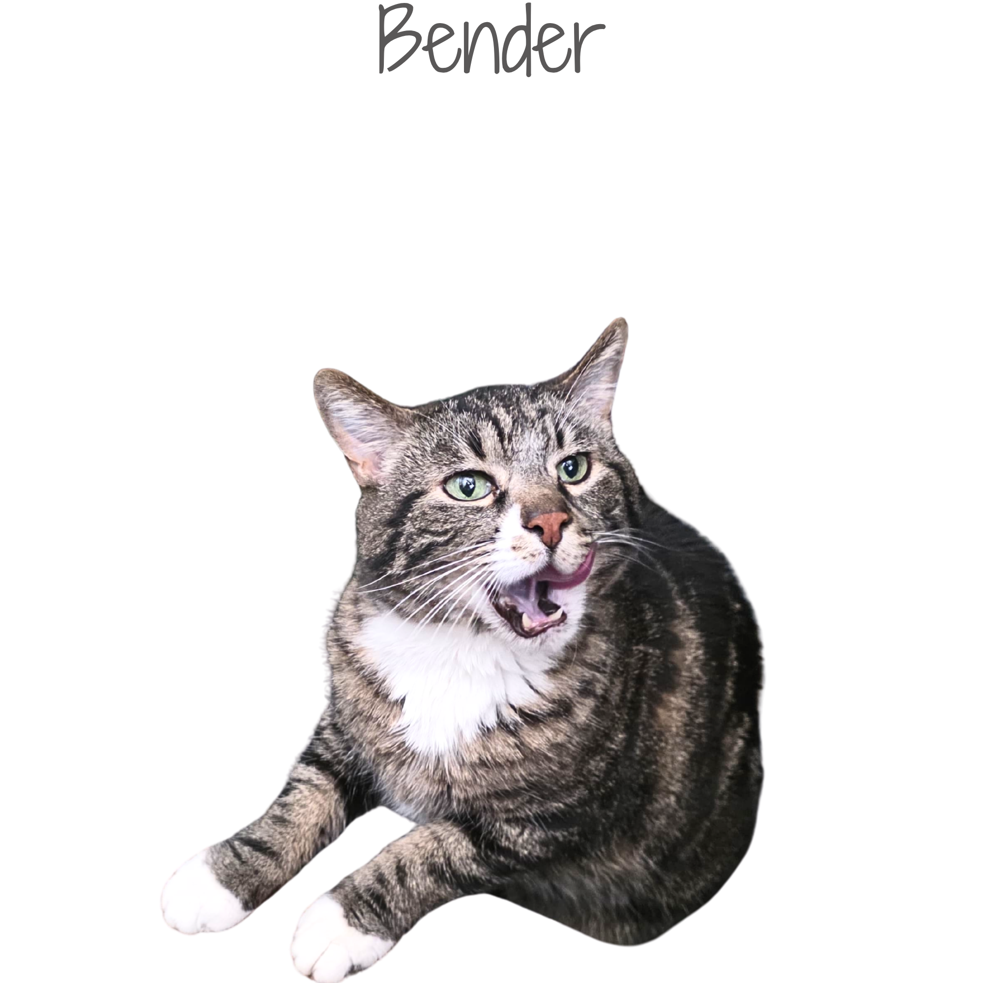 IMG_2274.png