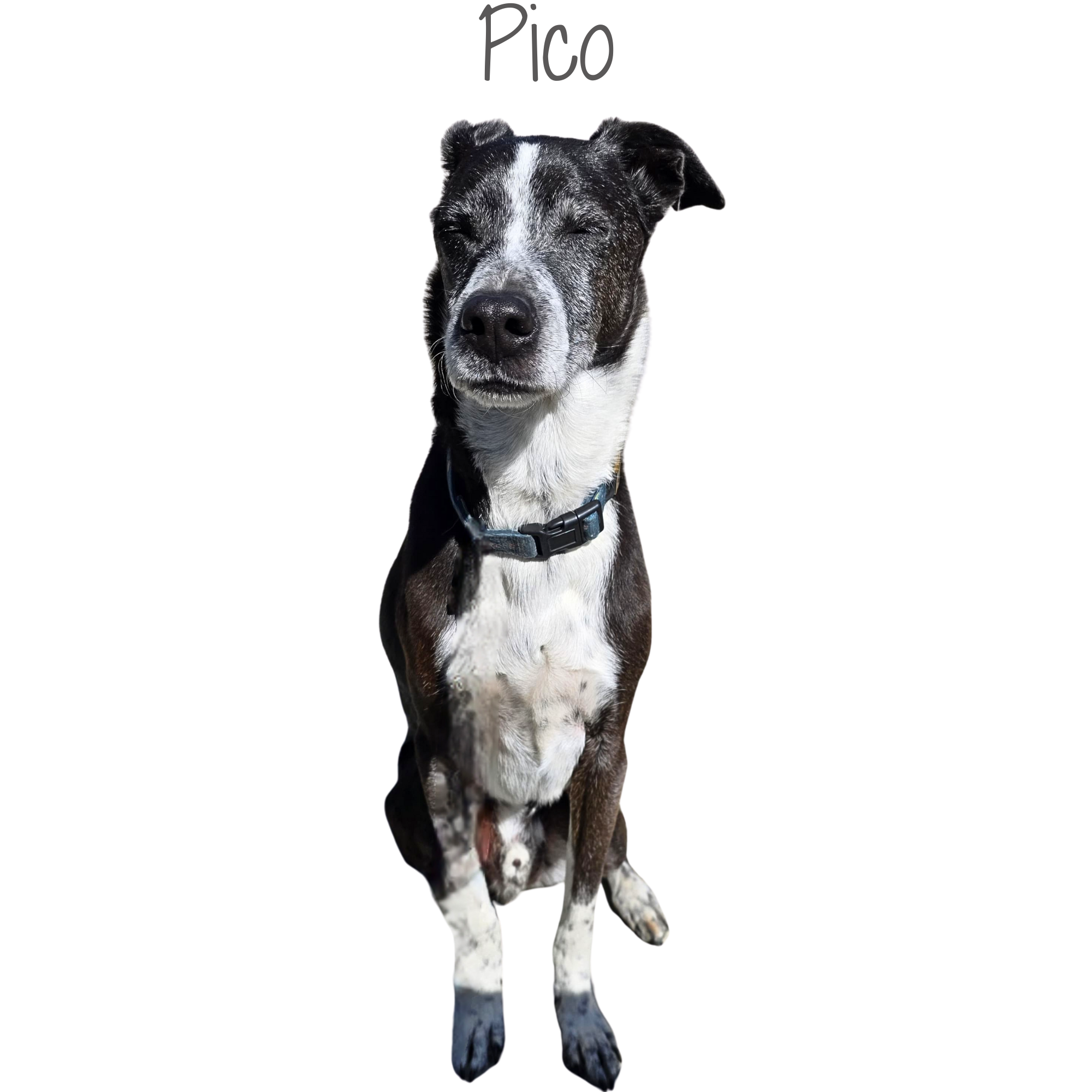 1000164435.png