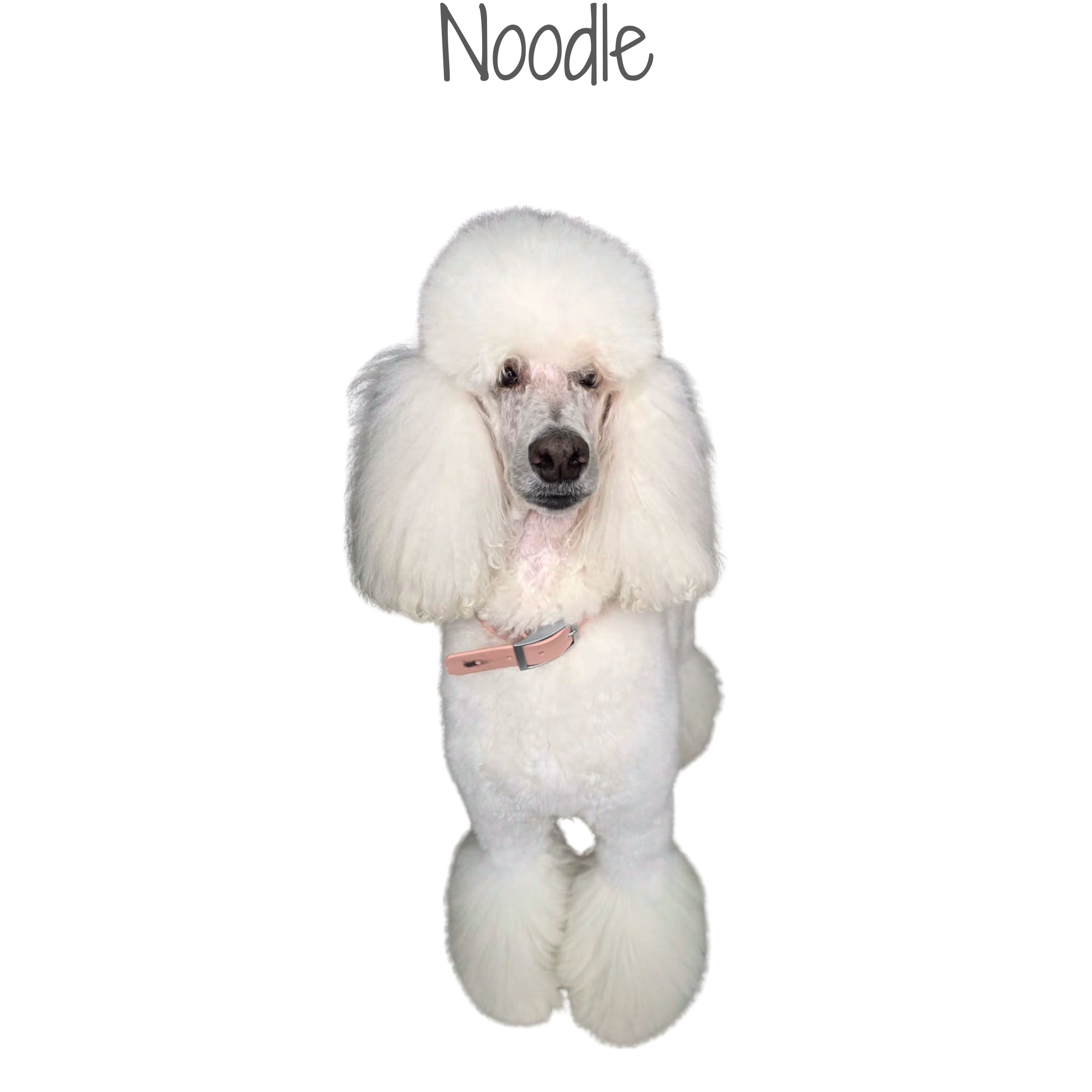 1000205266.png