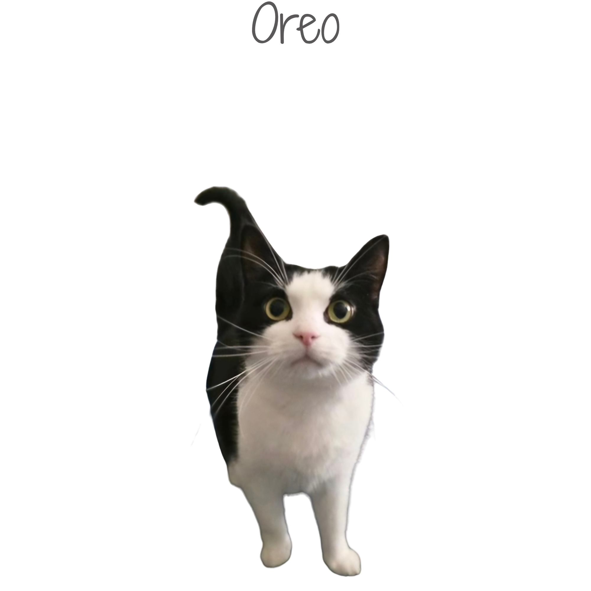 1000291937.png