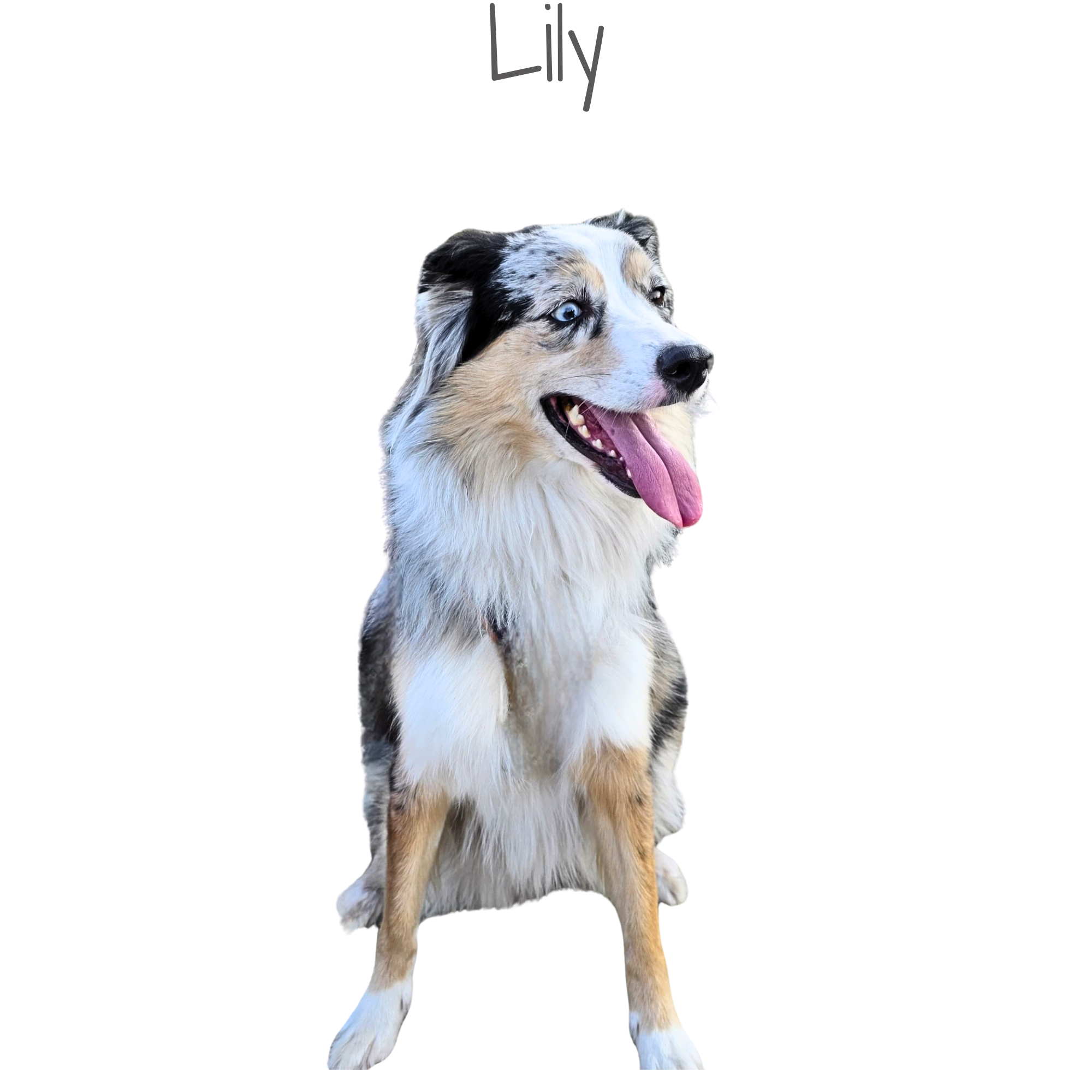 1000161064.png