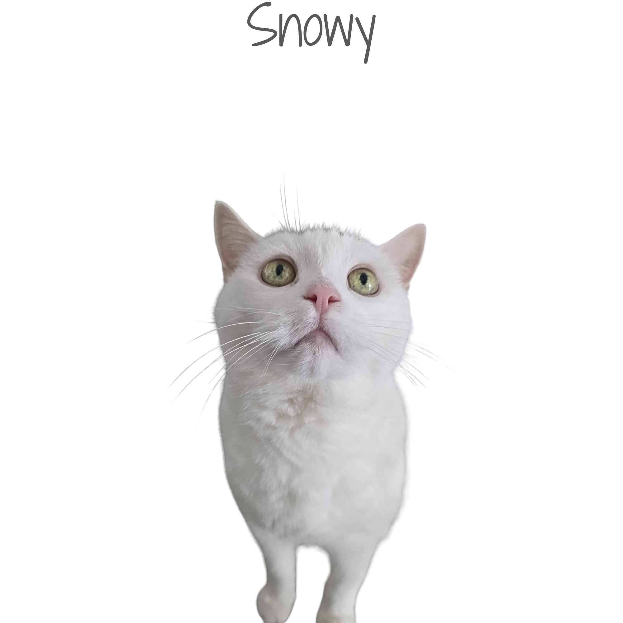 1000291938.png