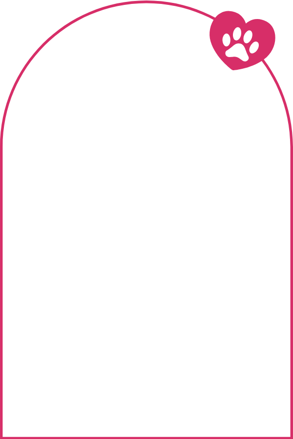 An illustration of a dog with a paw print in a heart at the top right corner, with a pink outline and a black background.