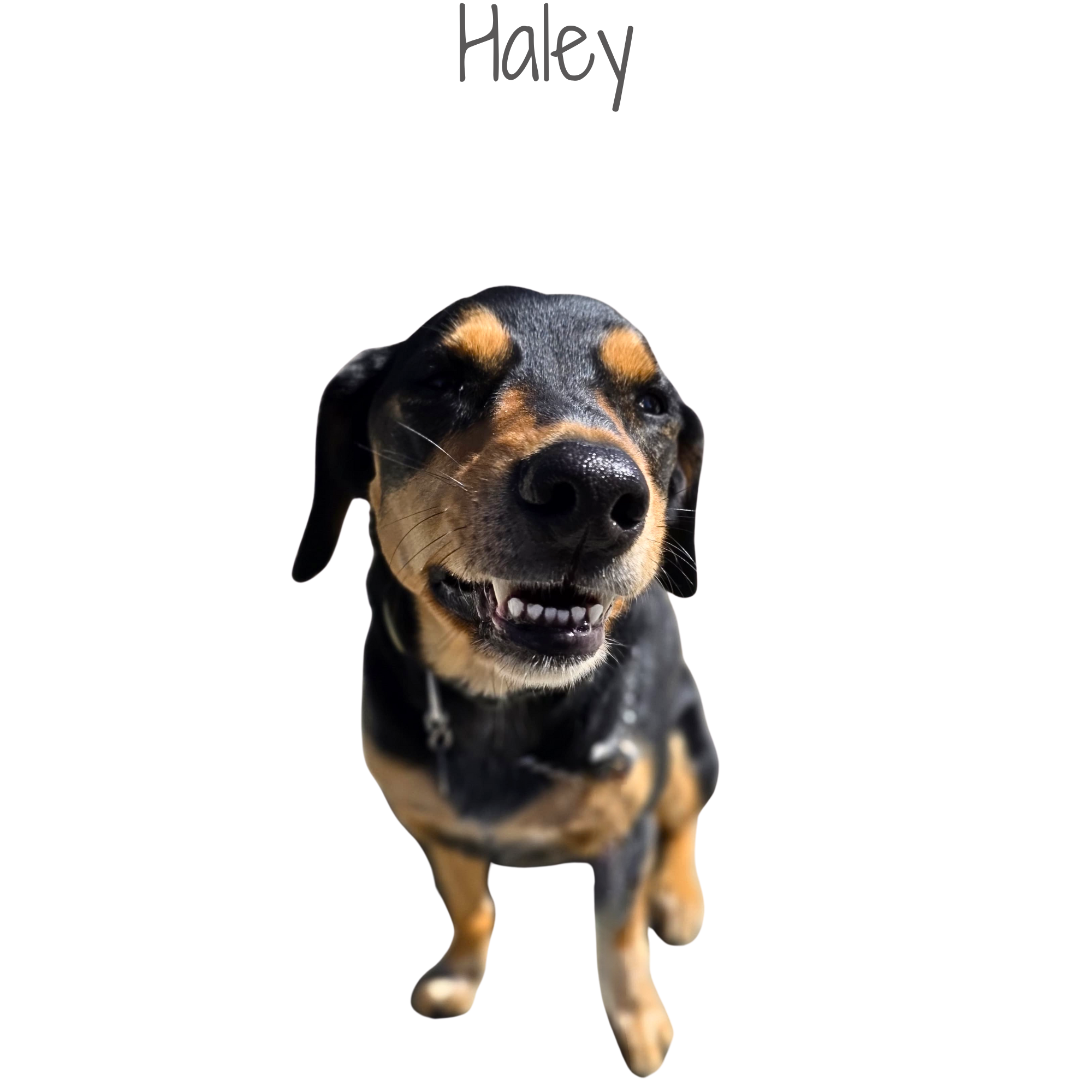 1000164436.png