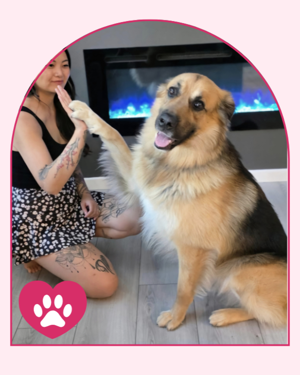 A woman with tattoos kneeling on the floor giving a high five to a large, happy German Shepherd dog in front of an electric fireplace.