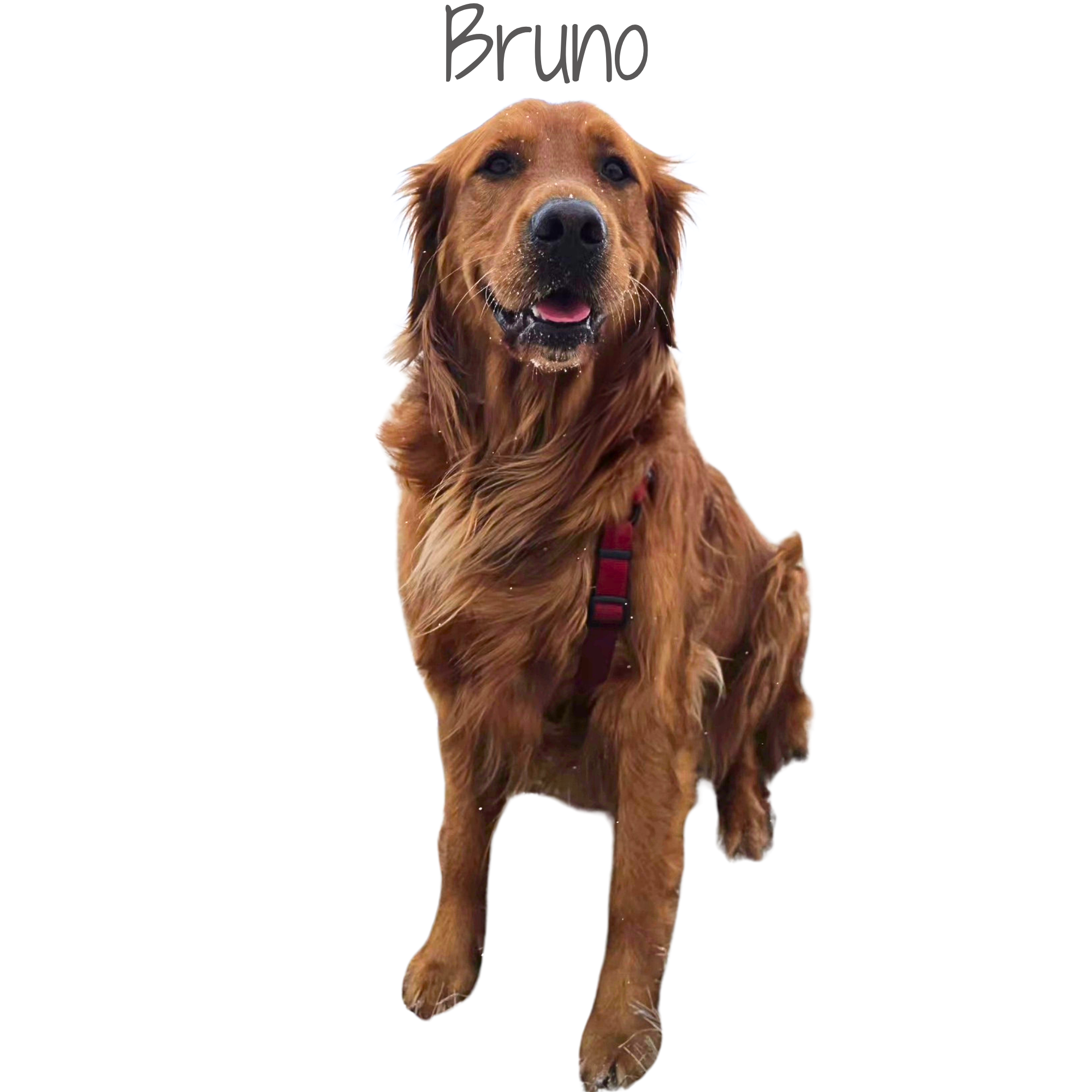 1000271022.png