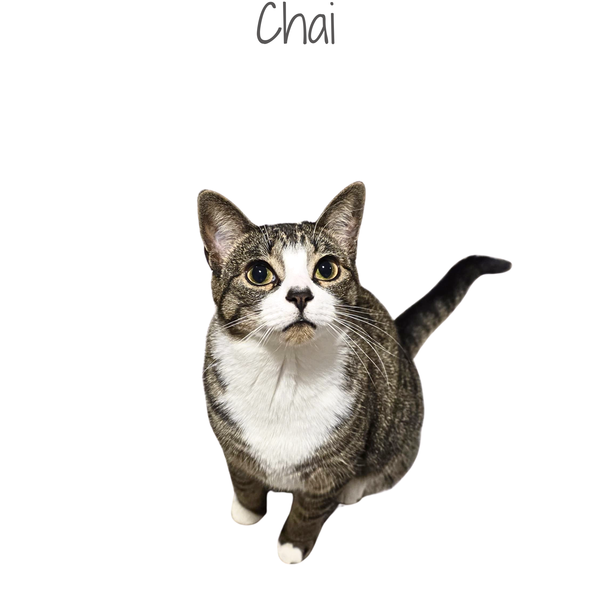 1000205259.png