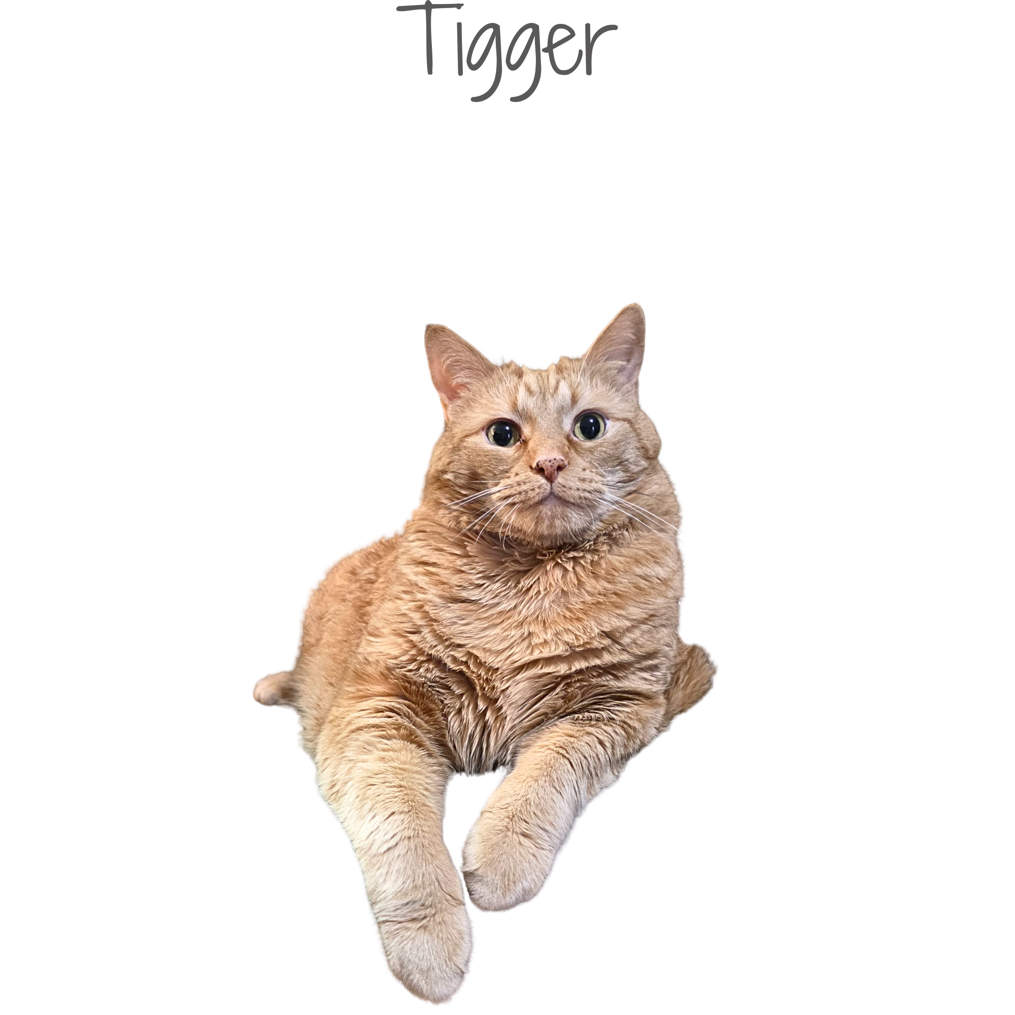 1000205261.png
