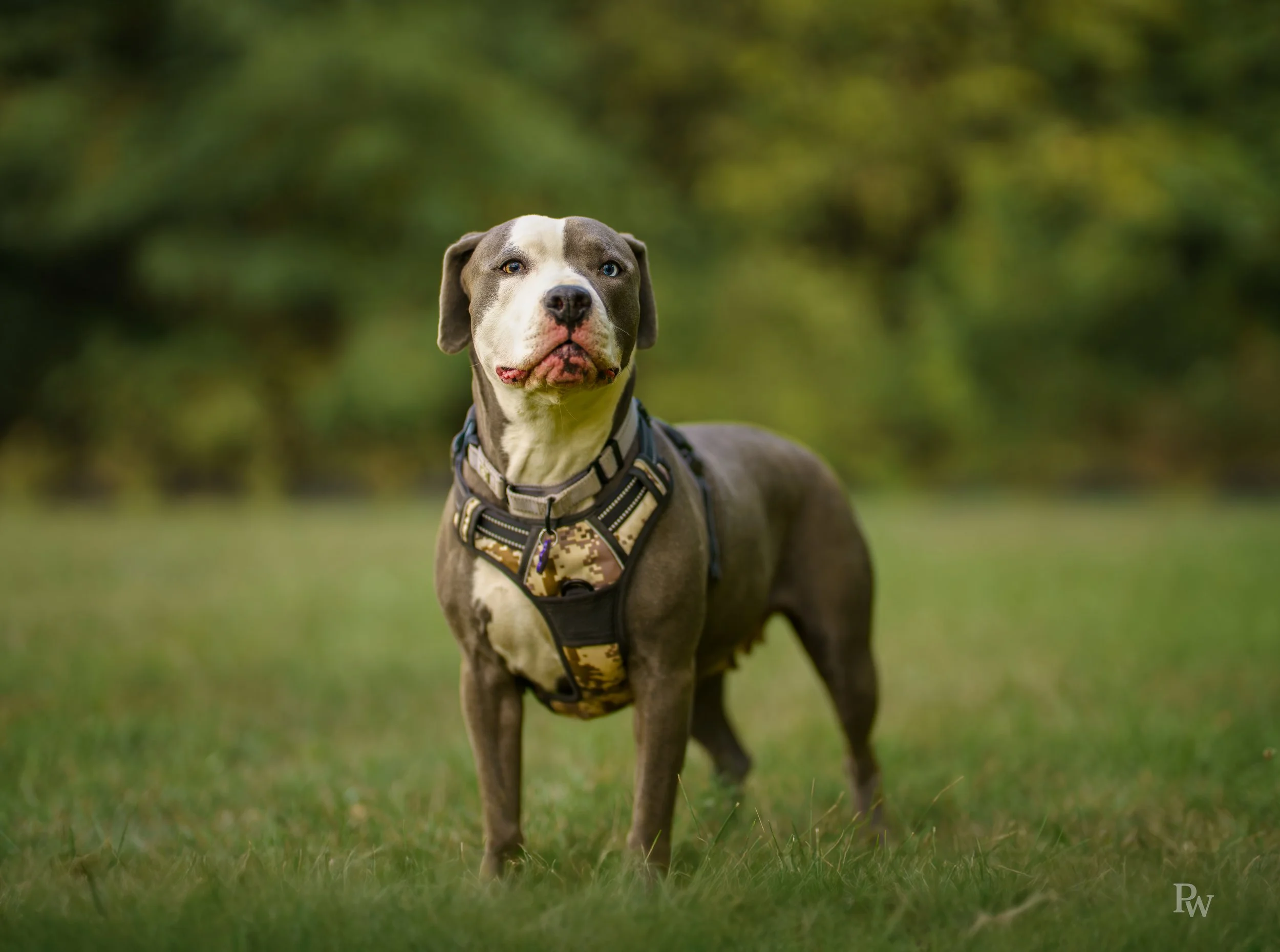 7R307843-Edit-Edit-Edit-Edit-2.jpg