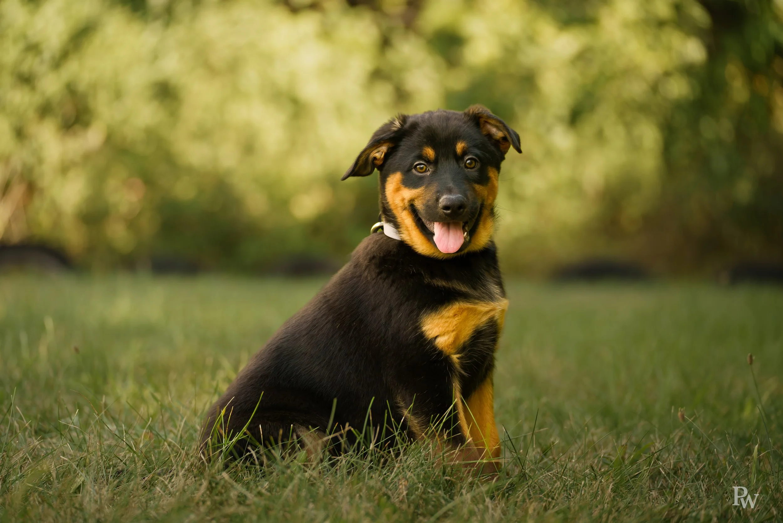7R308292-Edit.jpg