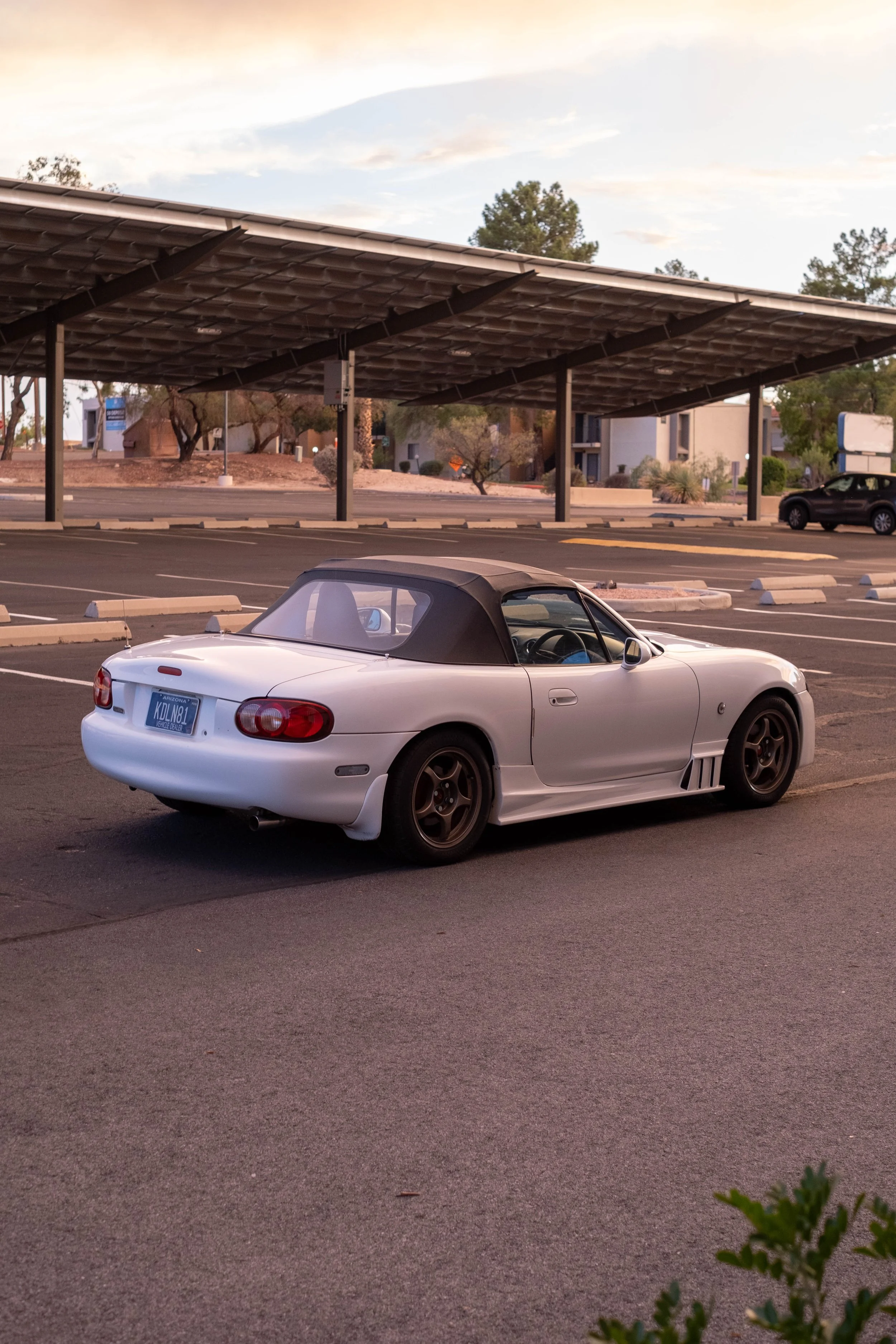 DSCF3774.jpg
