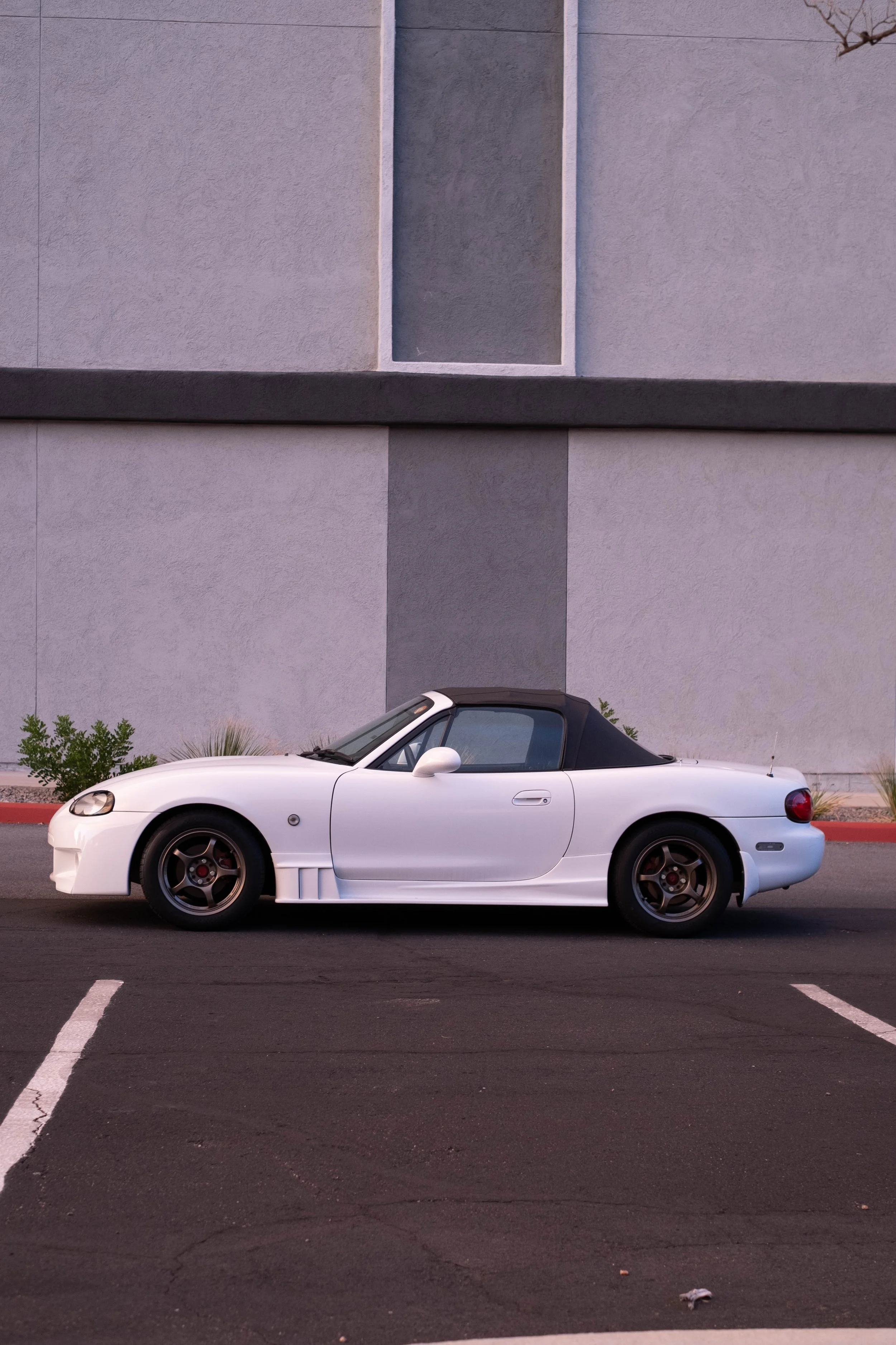 DSCF3776.jpg