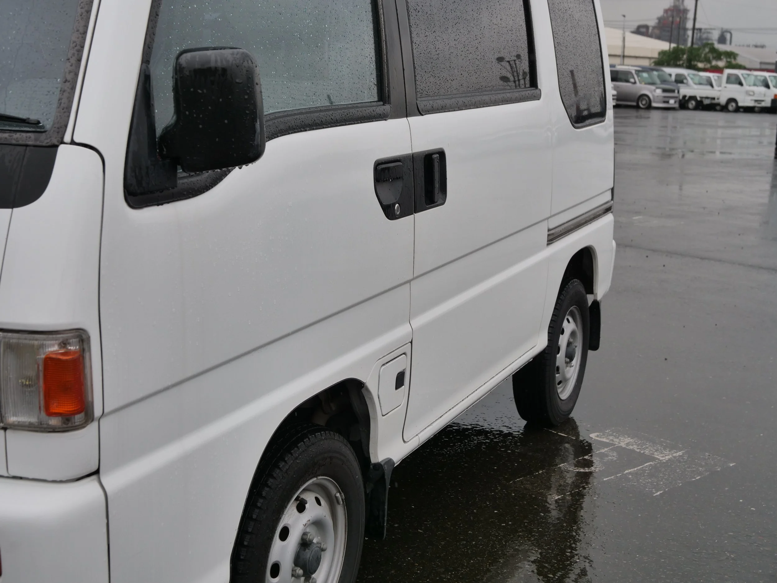 P4477767.JPG