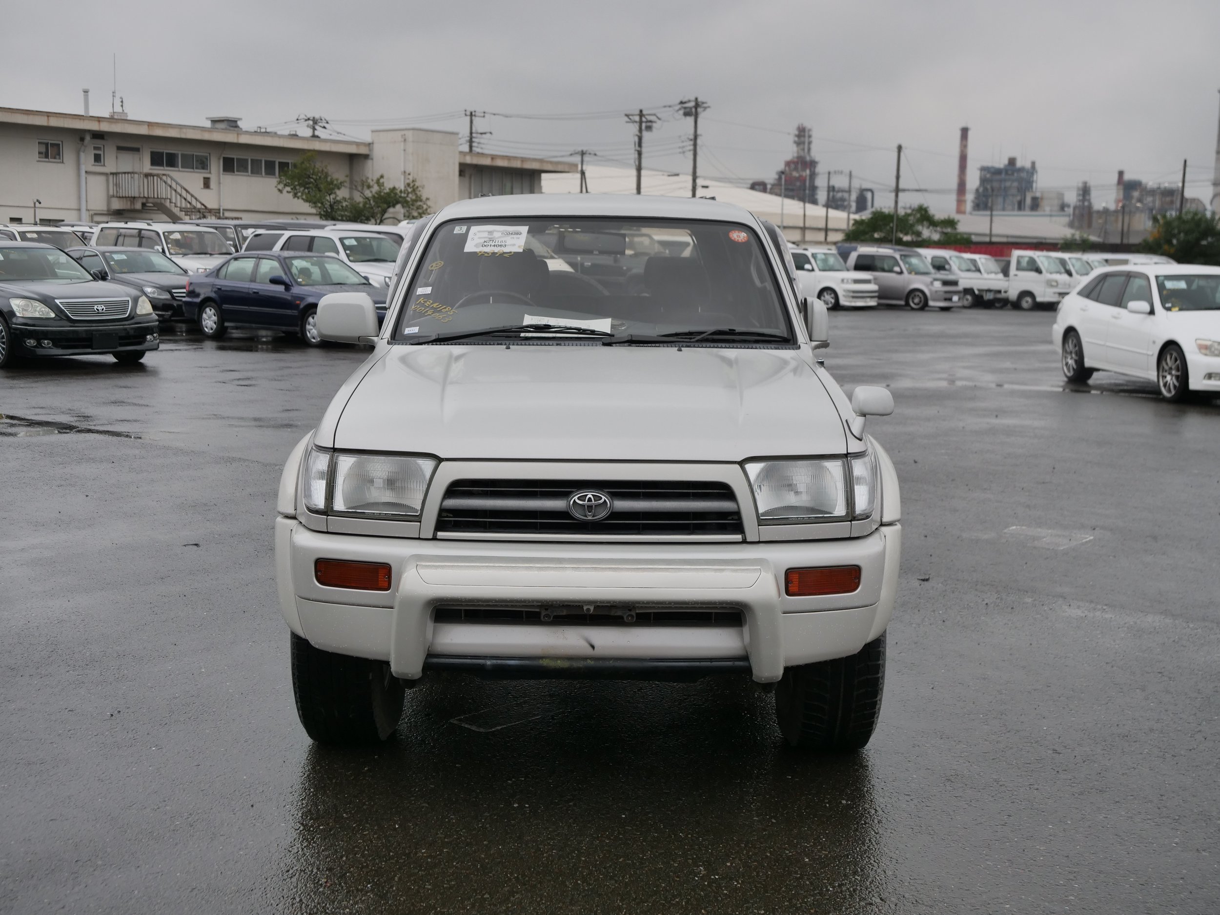 P4477965.JPG