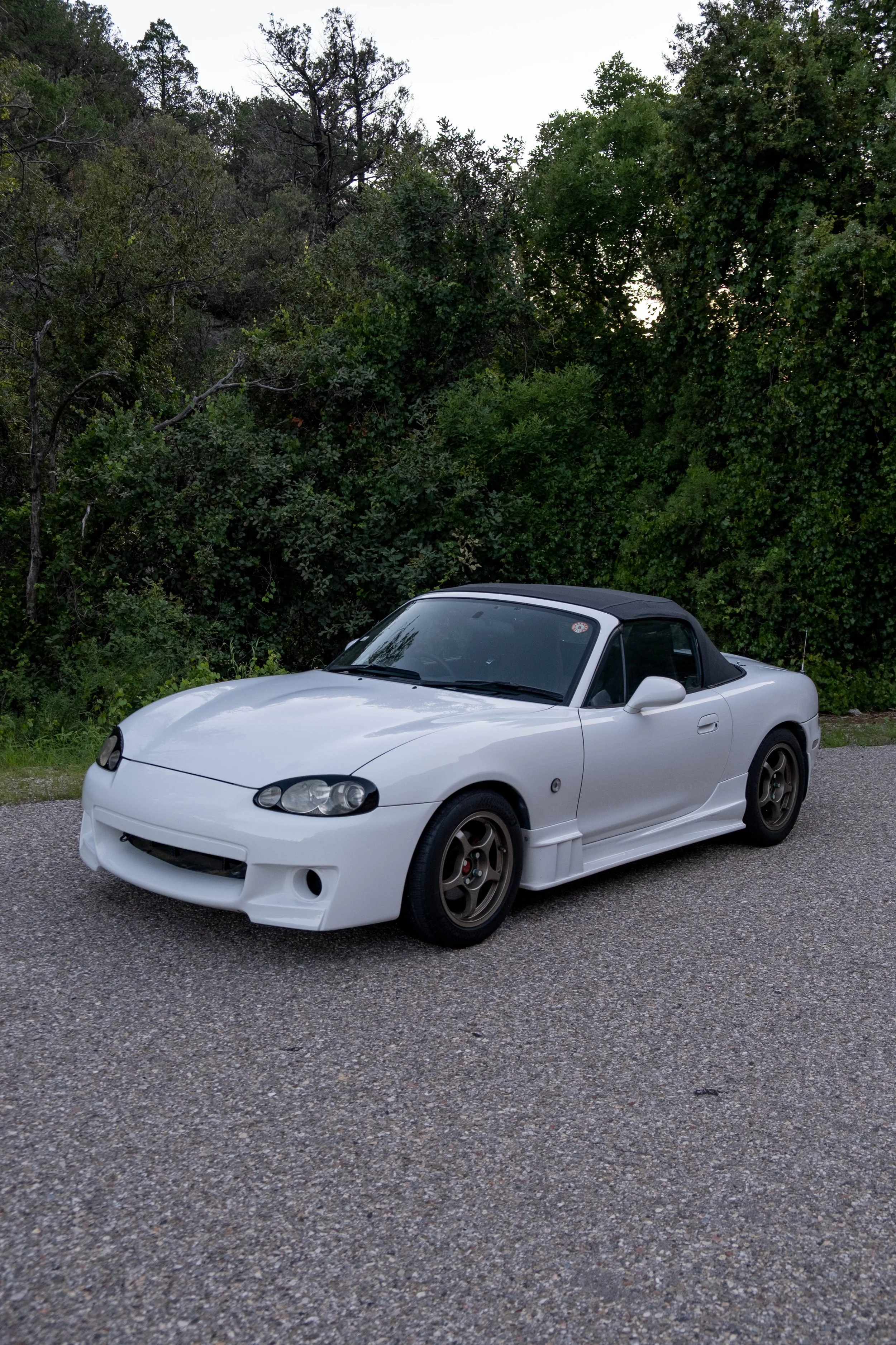 DSCF3735.jpg