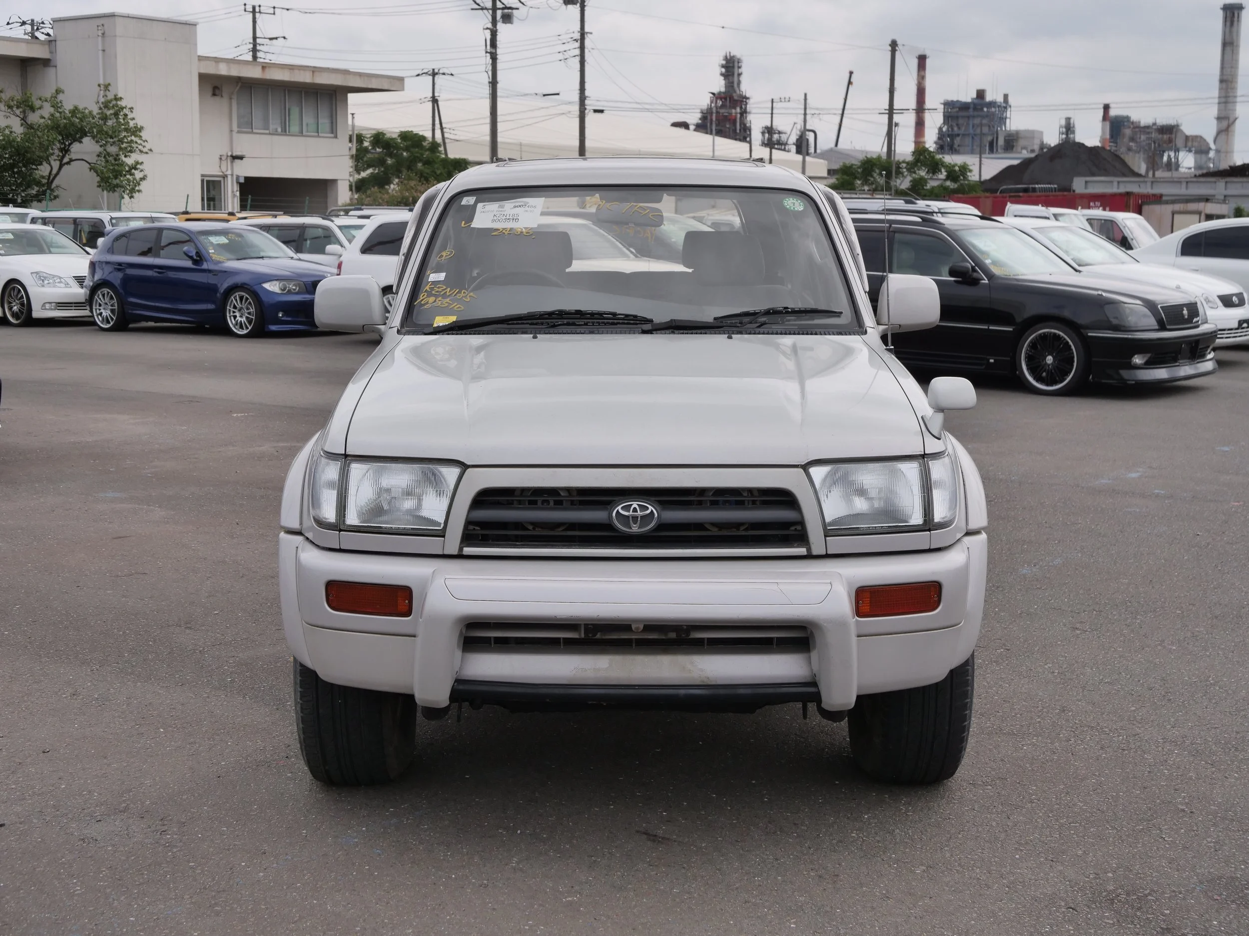 P4233671.JPG