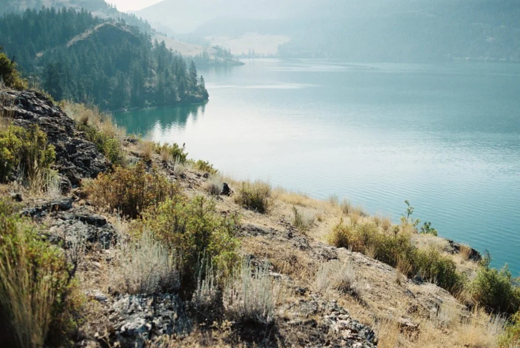 How to Cultivate Dreams While Living Practically
