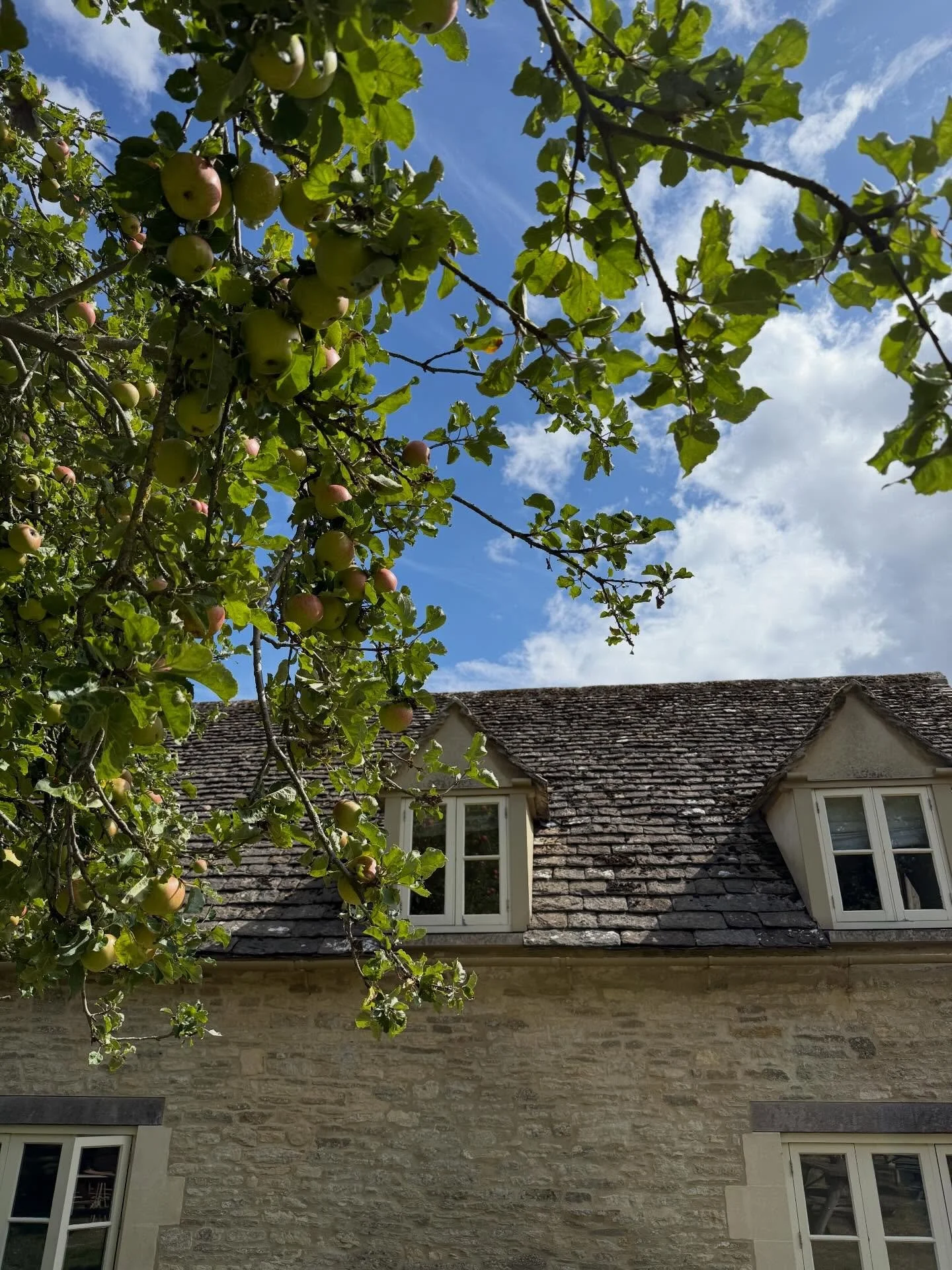More from Day 1 of our walk from Fulbrook to Minster Lovell with co-leader @greta.eskridge on our WomenMs Walking Retreat through the Cotswolds.

Click the links in our profiles so you can join our next one! 

Space is limited so book now!

#bringing
