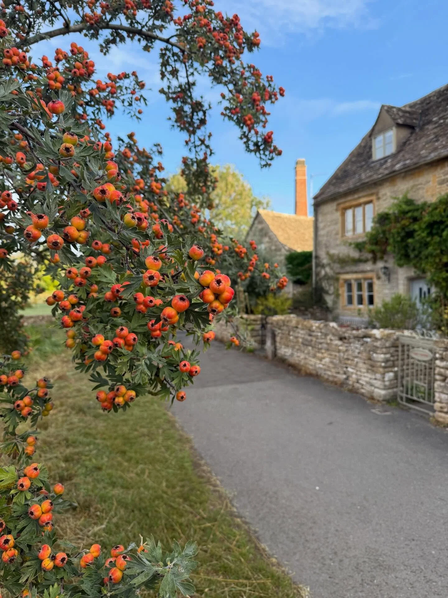 Co-leader @greta.eskridge and I struck out on an early morning walk in order to take advantage of the sunrise and enjoy a quiet stroll before leading our group of 10 amazing women on our 2025 Fall Women&rsquo;s Walking Retreat through the Cotswolds.
