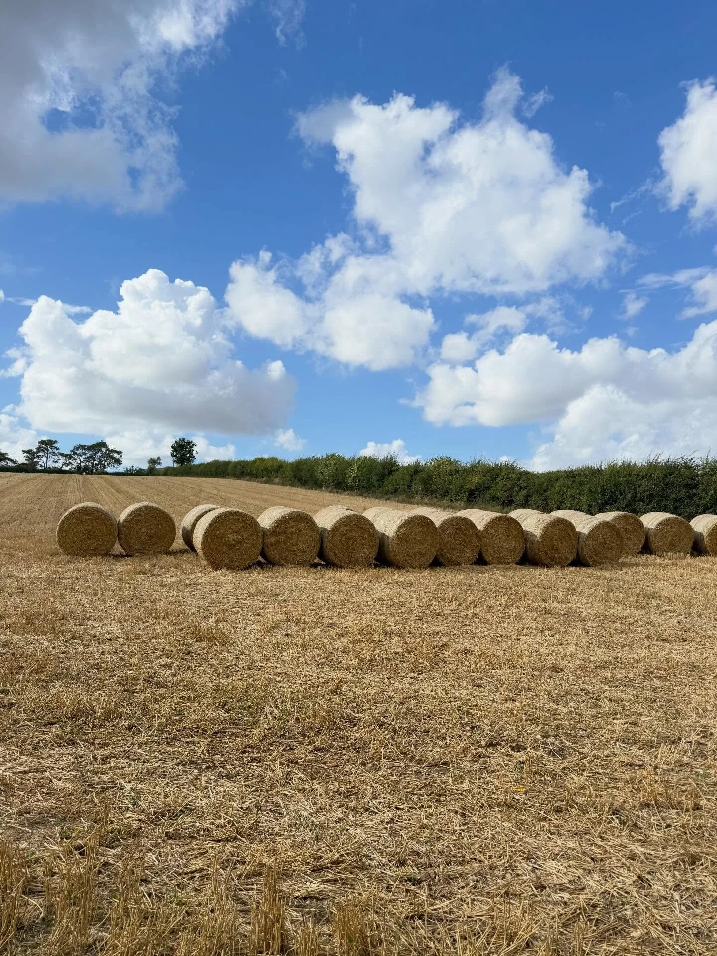 Final collection of stills from Day 1 of our September 2025 Women&rsquo;s Walking Retreat through the Cotswolds. We ended our day&rsquo;s walk at Minster Lovell Hall ruins, which are peacefully situated on the River Windrush. Stay tuned for our next 