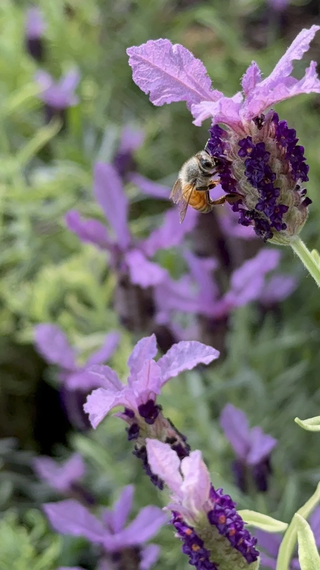 Field Notes: March 2026 — Finding Stillness After the Storm