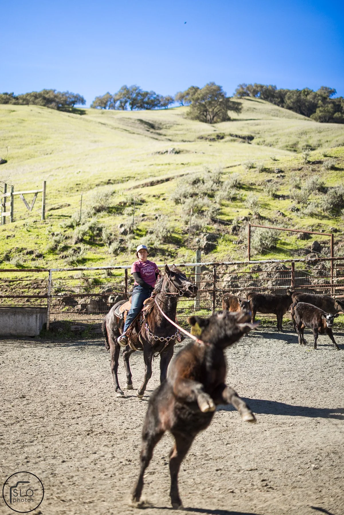 2026 CTC Branding-153.jpg