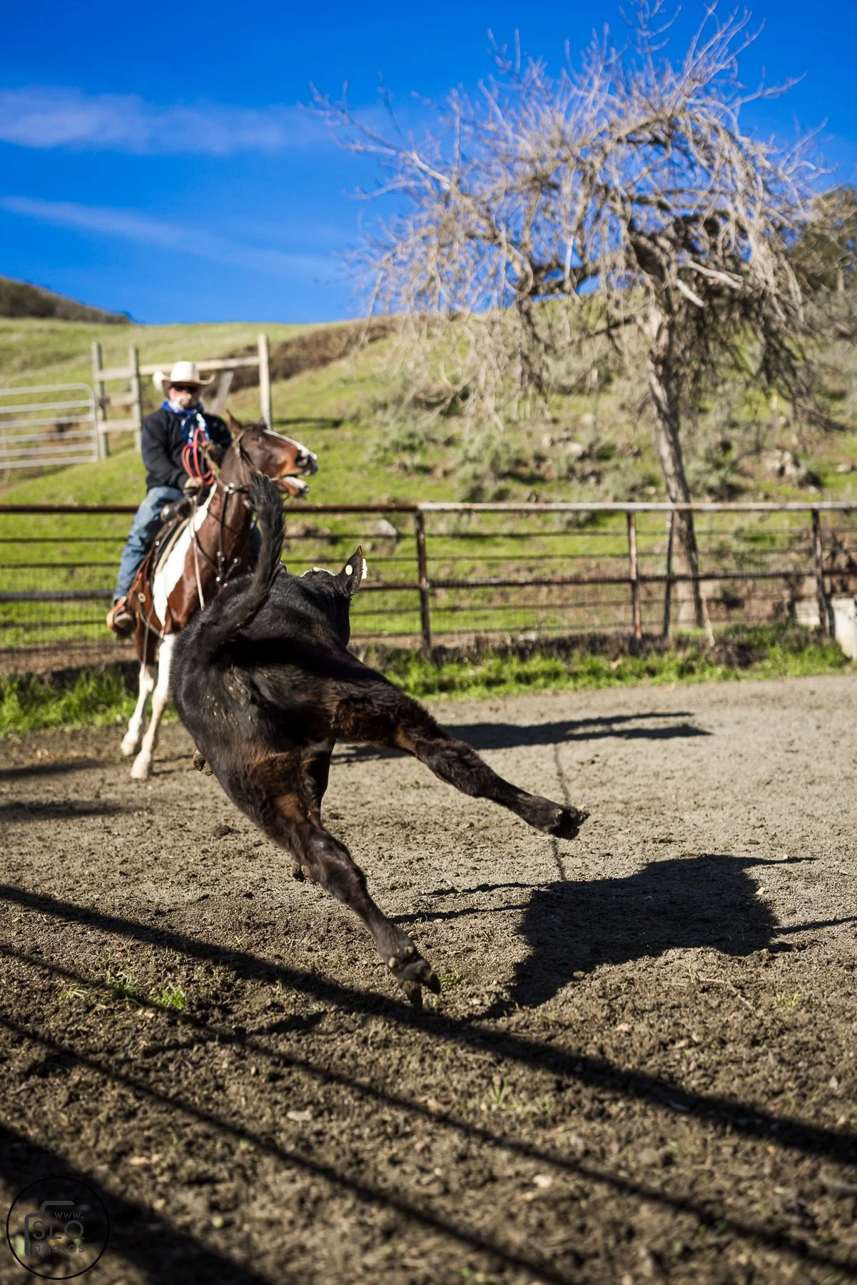 2026 CTC Branding-044.jpg