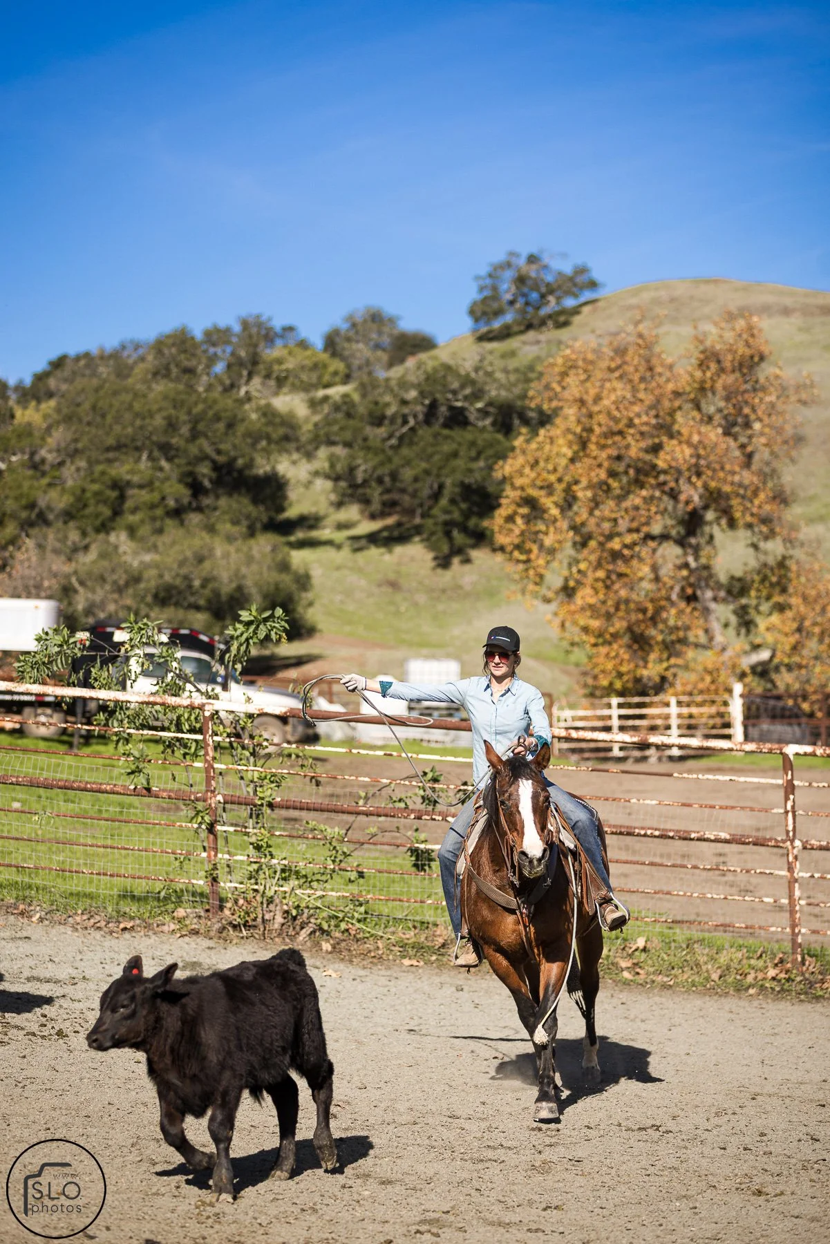 2026 CTC Branding-093.jpg