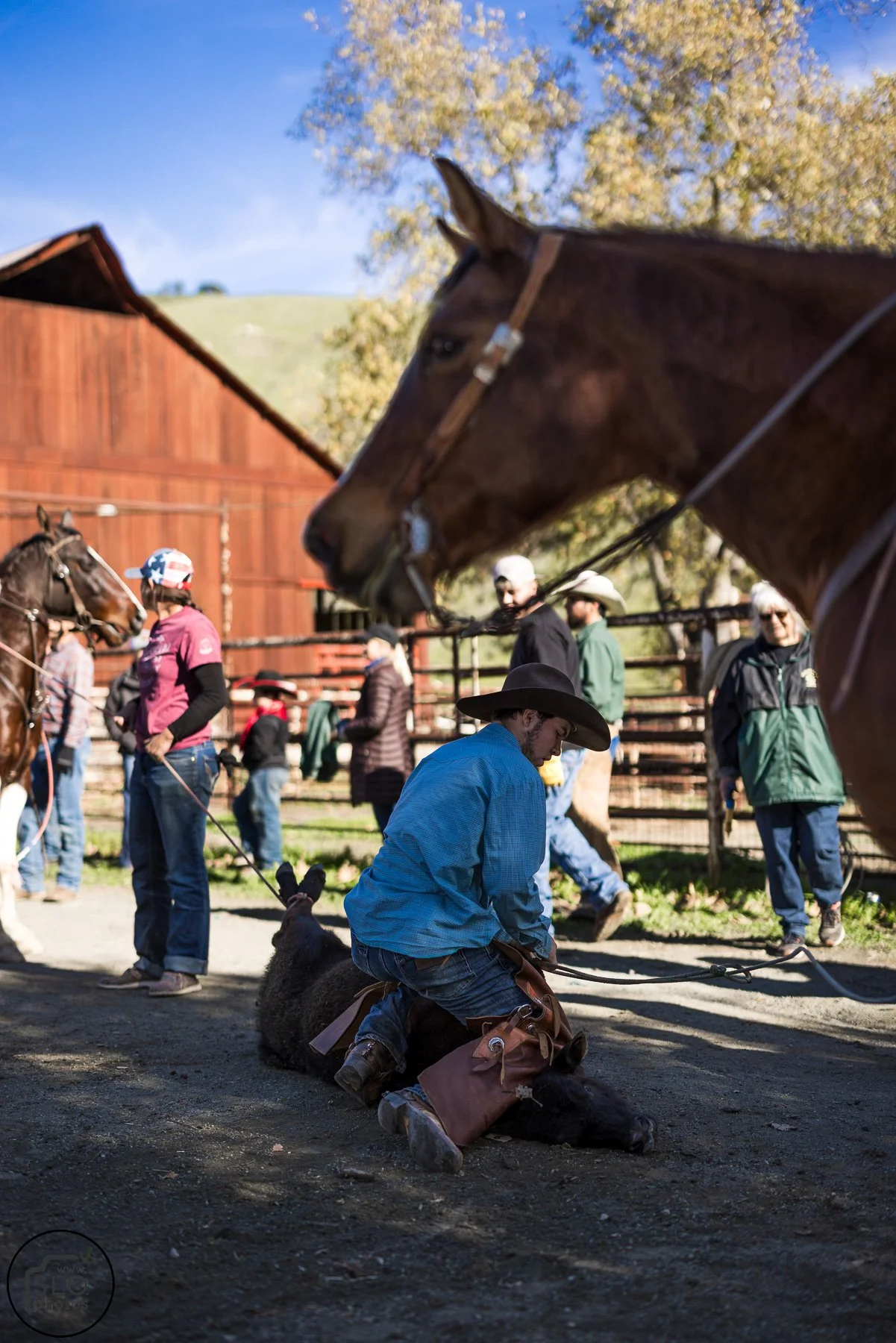 2026 CTC Branding-060.jpg