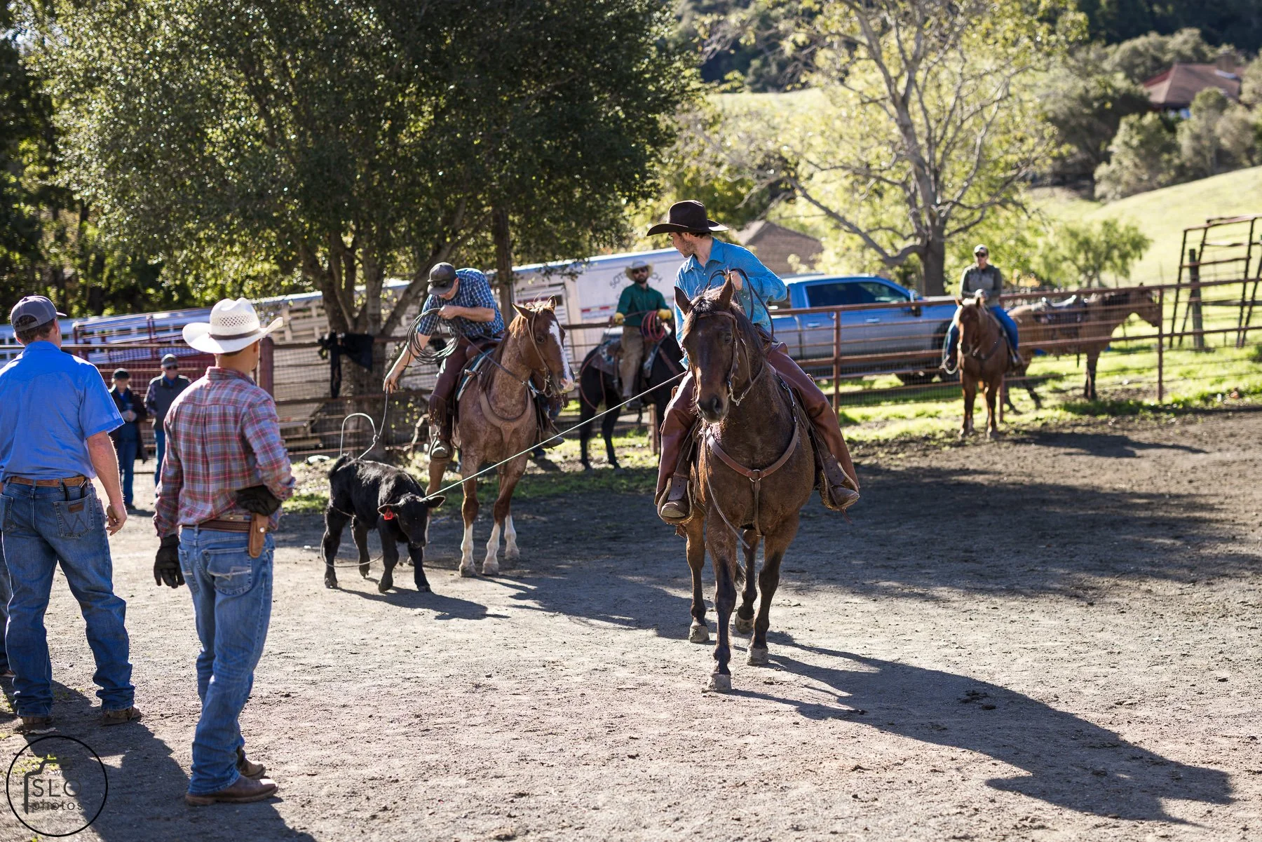 2026 CTC Branding-022.jpg