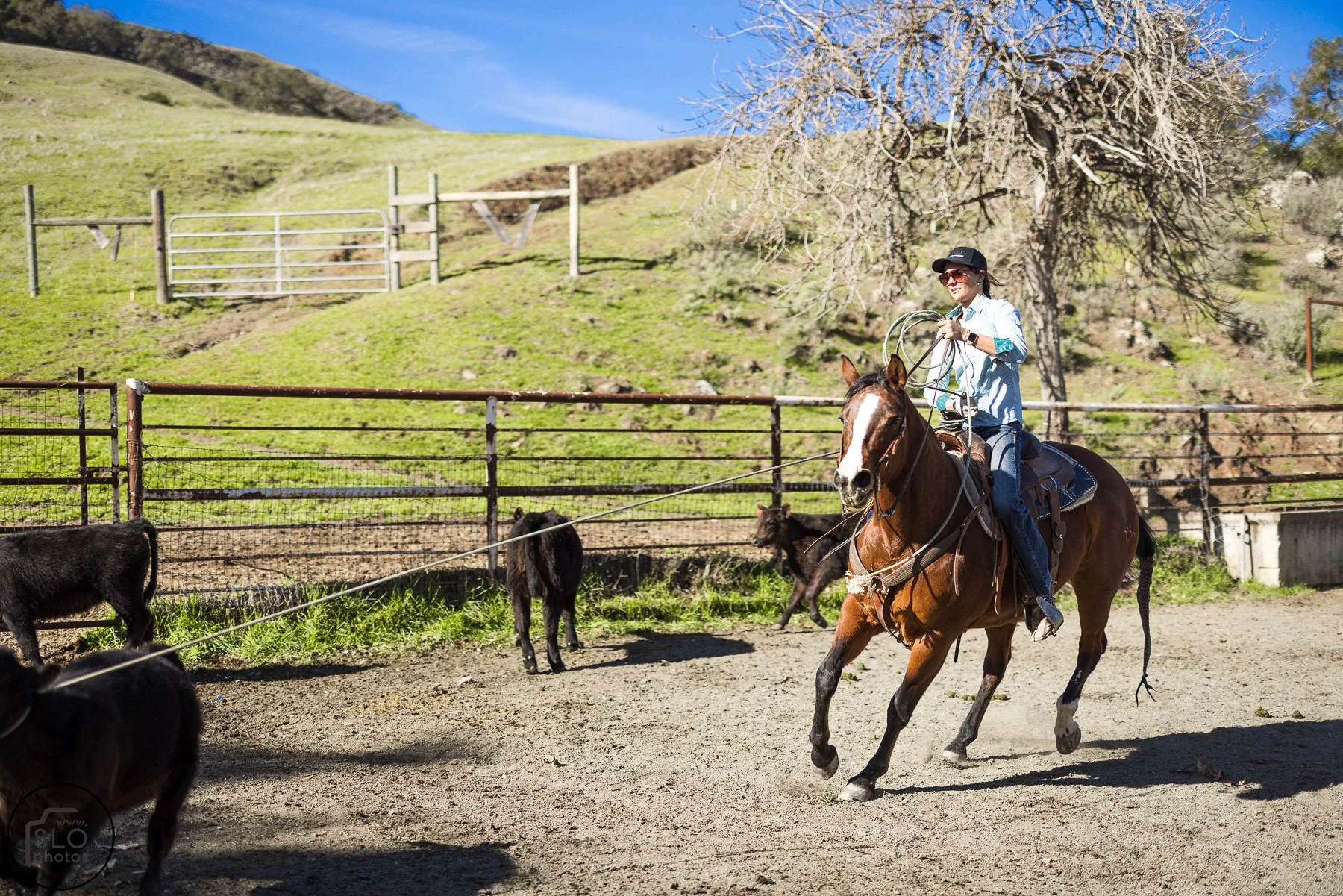 2026 CTC Branding-056.jpg