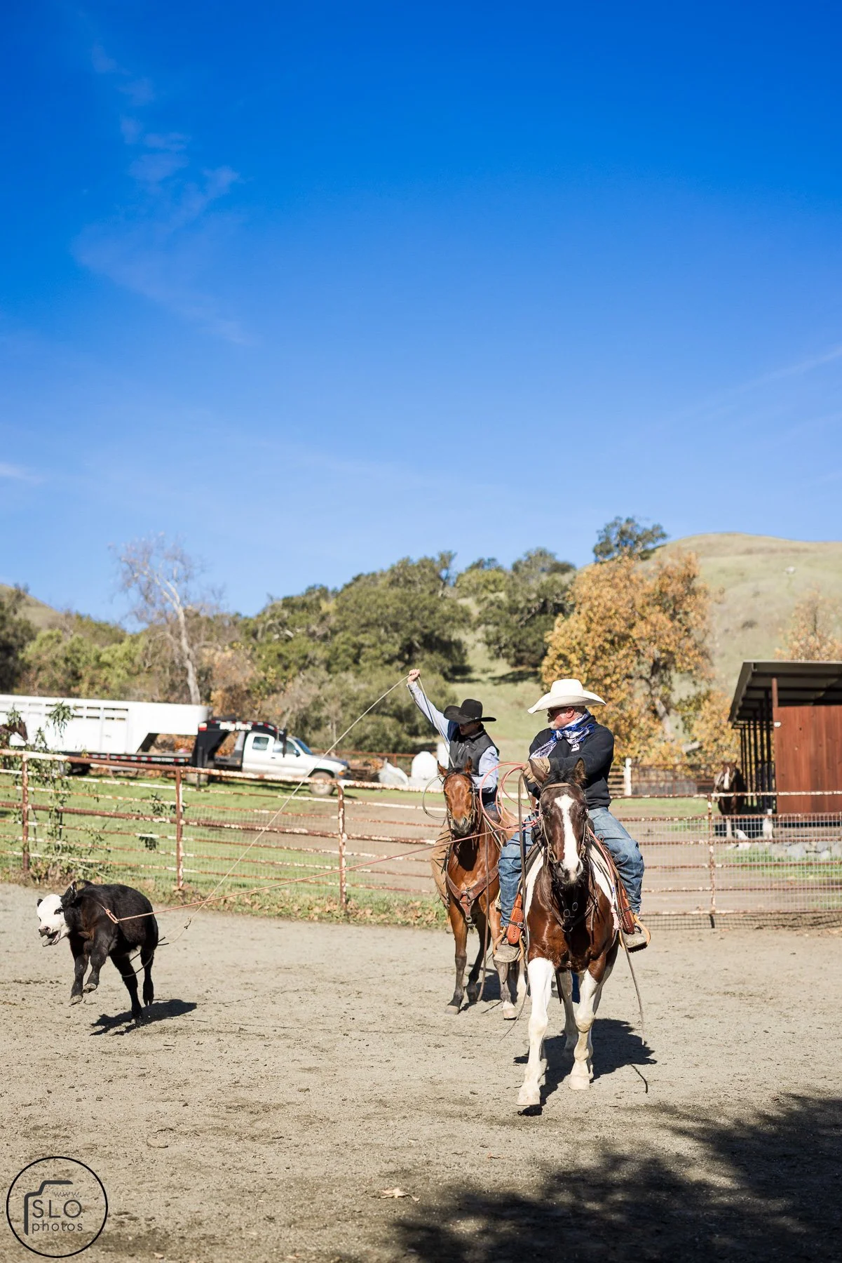 2026 CTC Branding-045.jpg