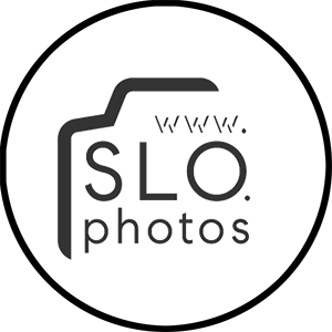 California AB 723 - Using digitally altered images in real estate sales