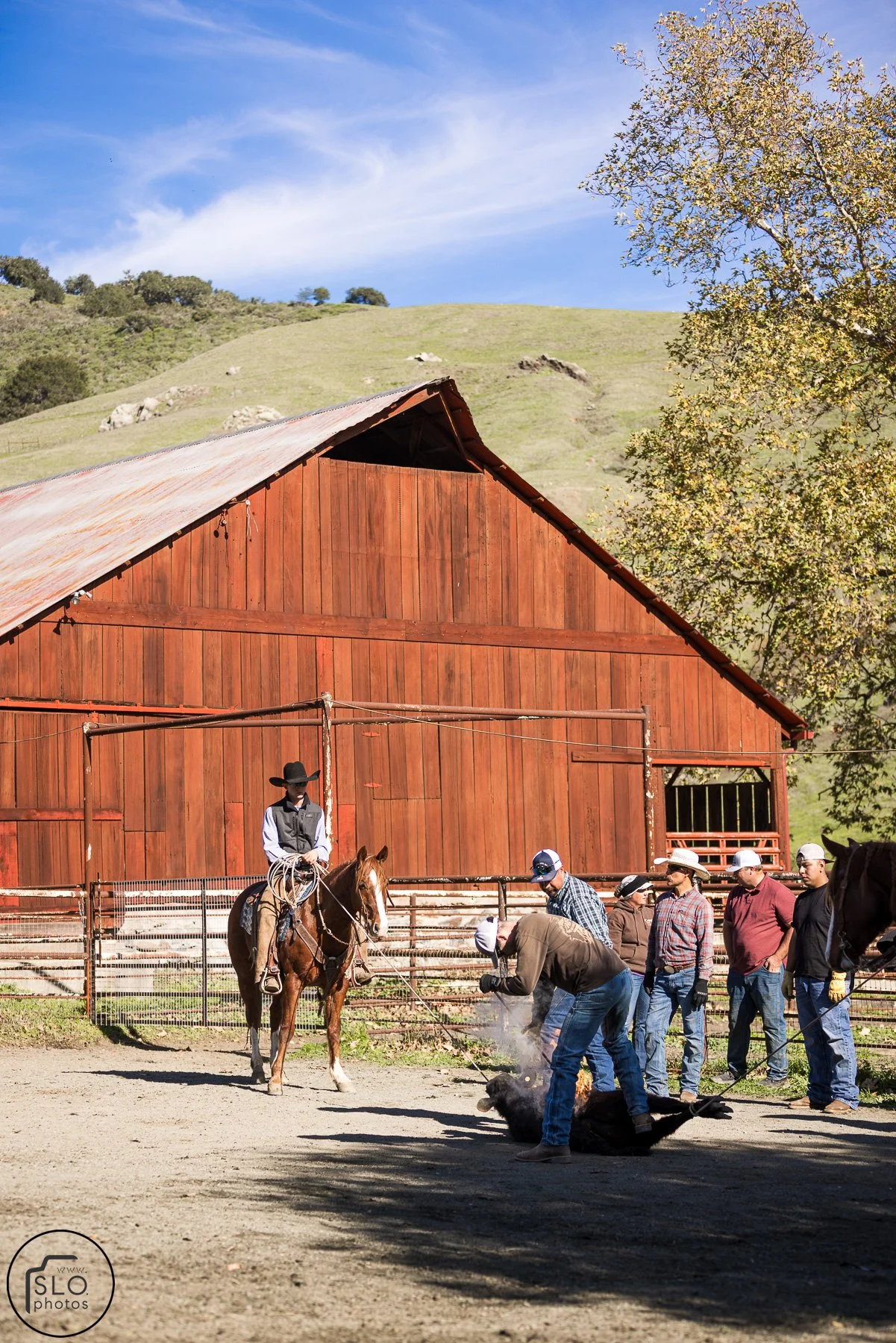 2026 CTC Branding-088.jpg