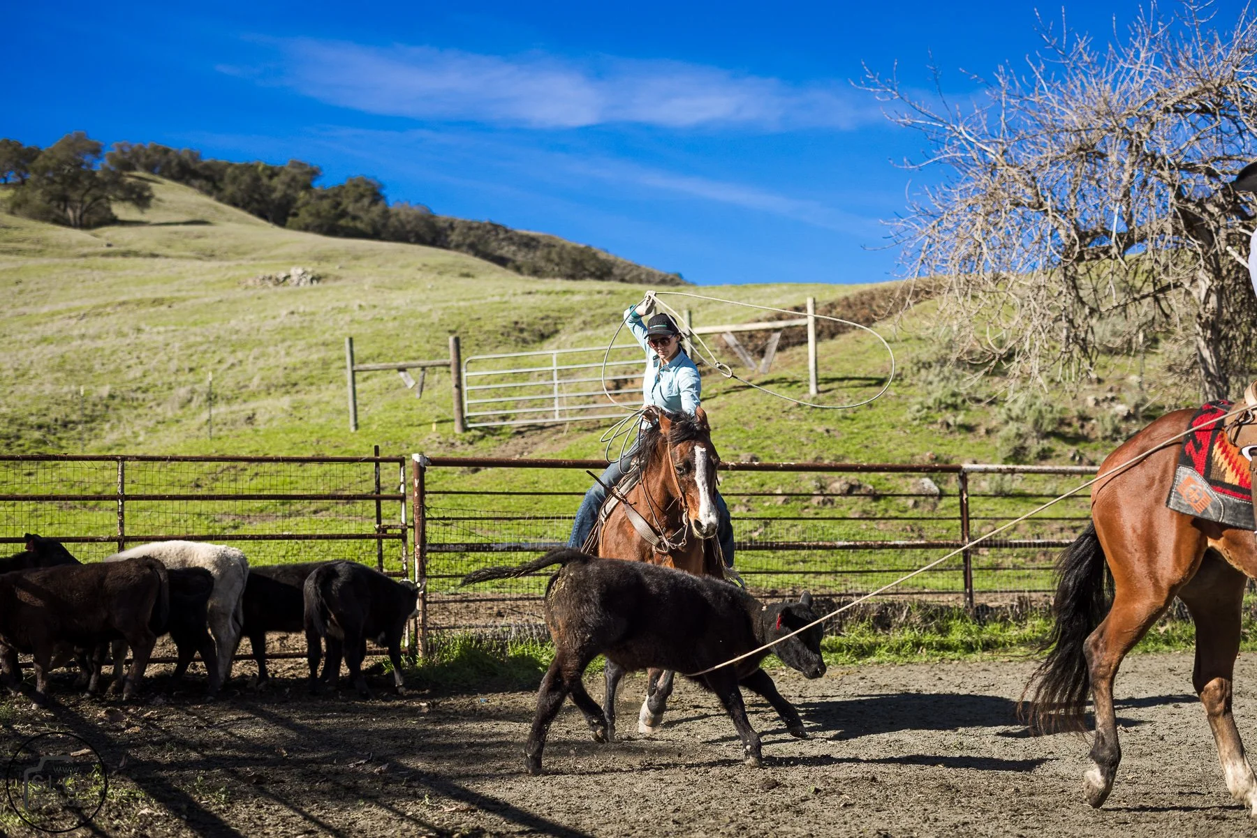 2026 CTC Branding-042.jpg