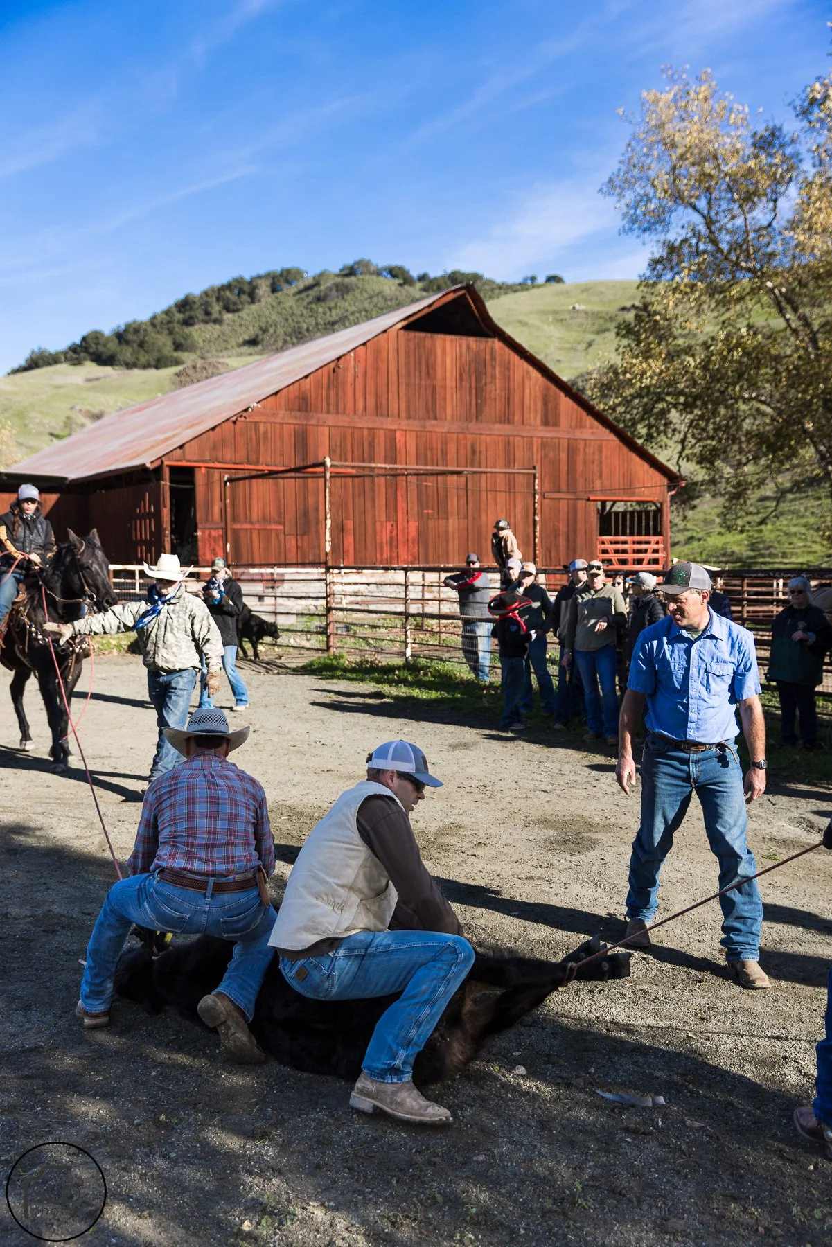 2026 CTC Branding-004.jpg