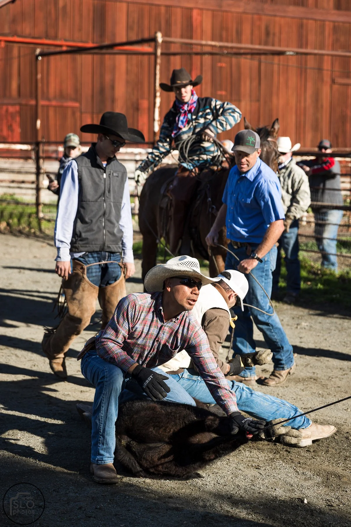 2026 CTC Branding-003.jpg