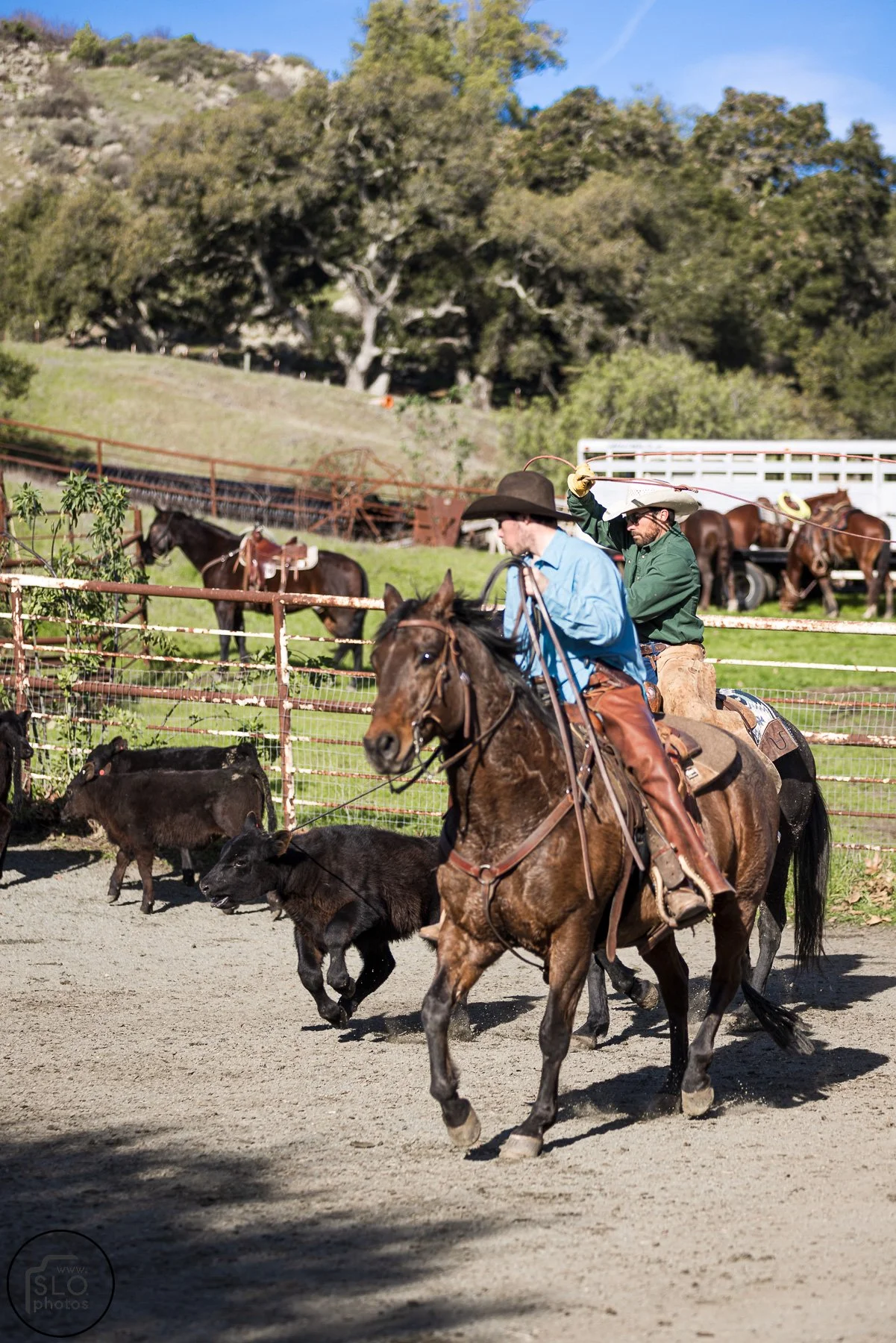 2026 CTC Branding-006.jpg