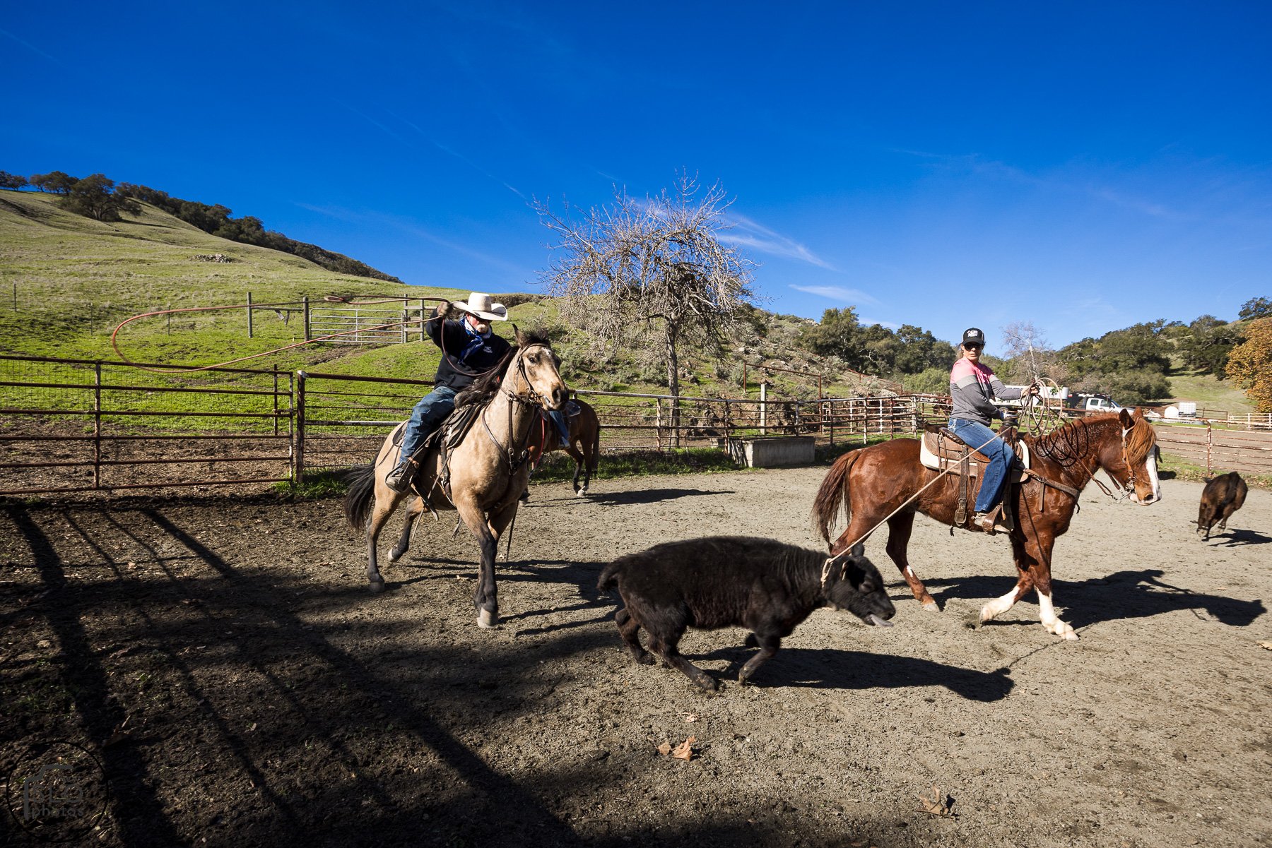 2026 CTC Branding-117.jpg